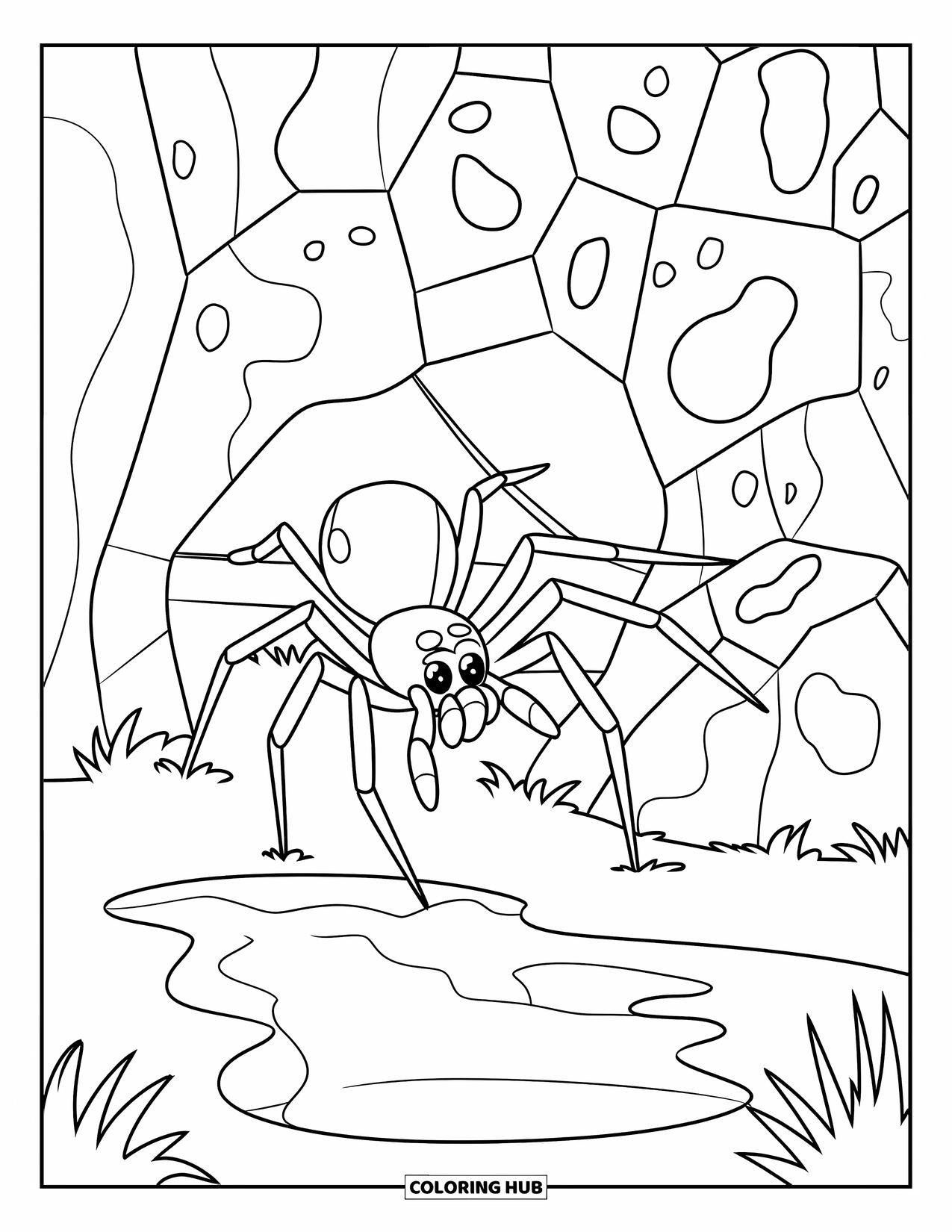 Spinnen-Ausmalbild für Kinder: Eine Spinne erkundet Felsen neben einer Pfütze, die mit hohem Gras gesäumt ist