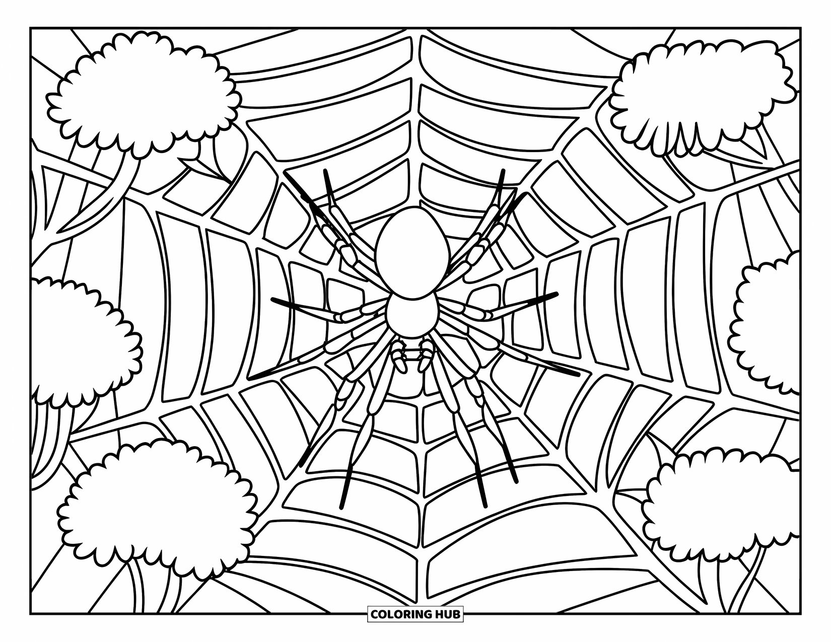 Spinnen-Ausmalbild für Kinder: Eine Spinne webt ein detailliertes Netz zwischen Buschstängeln in einem ruhigen Raum