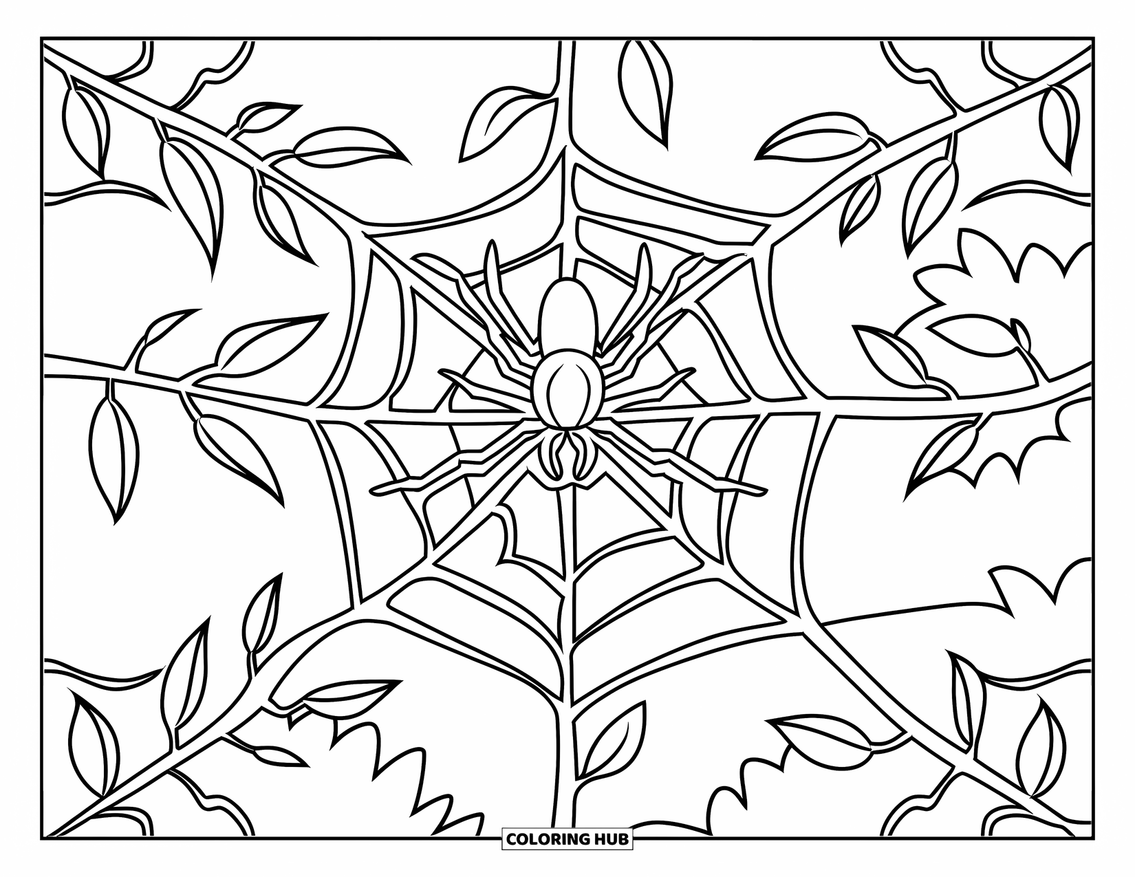 Spinnen-Ausmalbild für Kinder: Eine Spinne webt ein symmetrisches Netz über Stängel mit ein paar Blättern in der Nähe