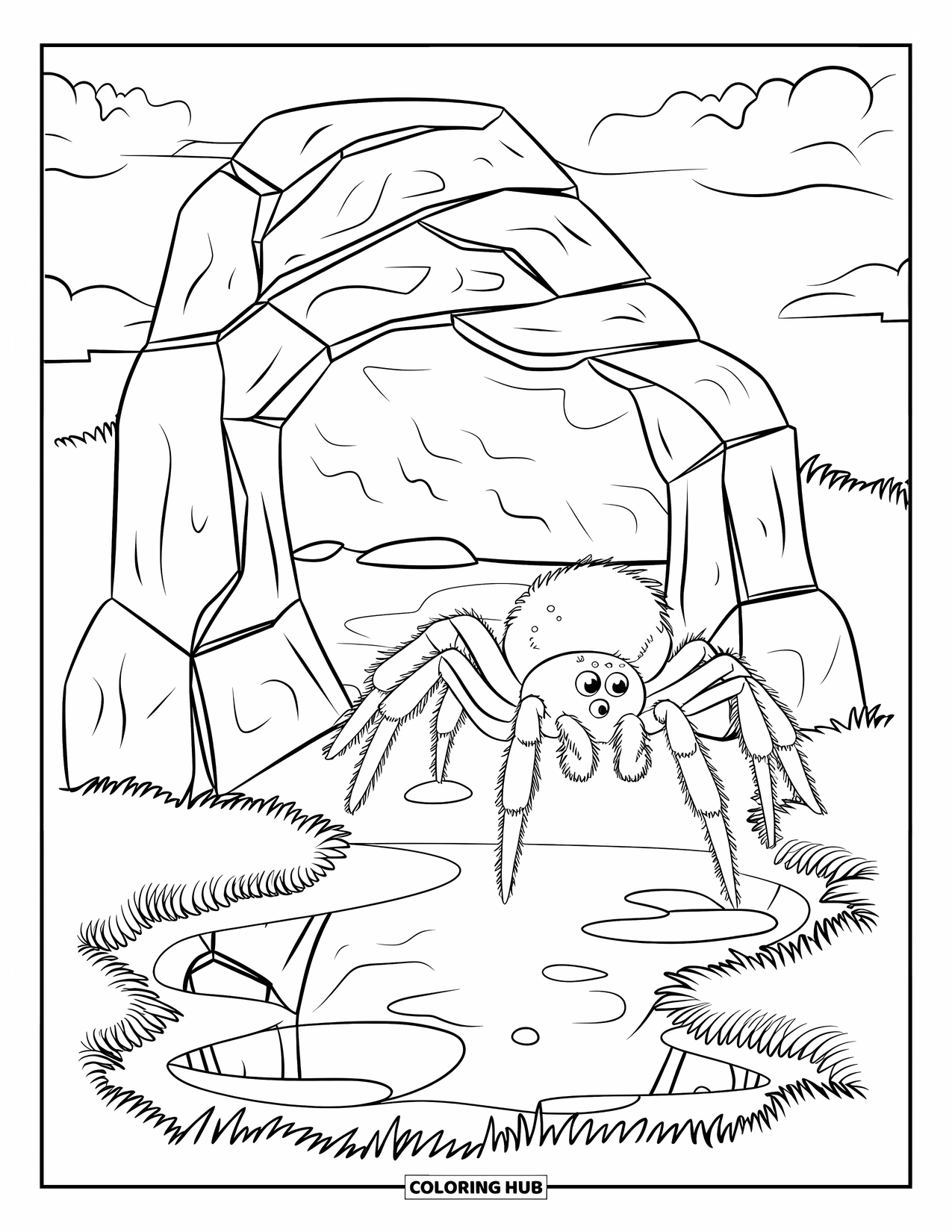 Spinnen-Ausmalbild für Kinder: Eine Spinne mit behaarten Beinen erkundet Felsen und eine Pfütze, die Himmel und Wolken reflektiert