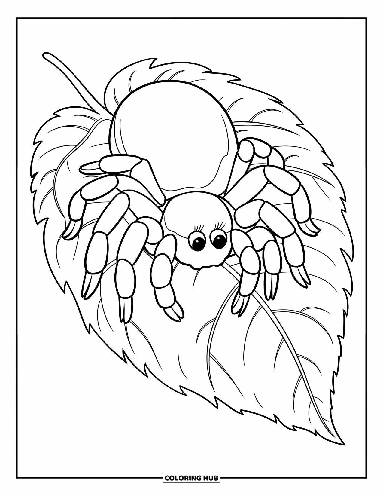 Spinnen-Ausmalbild für Kinder: Eine Vogelspinne ruht auf einem Blatt, das mit feinen Adern bedeckt ist