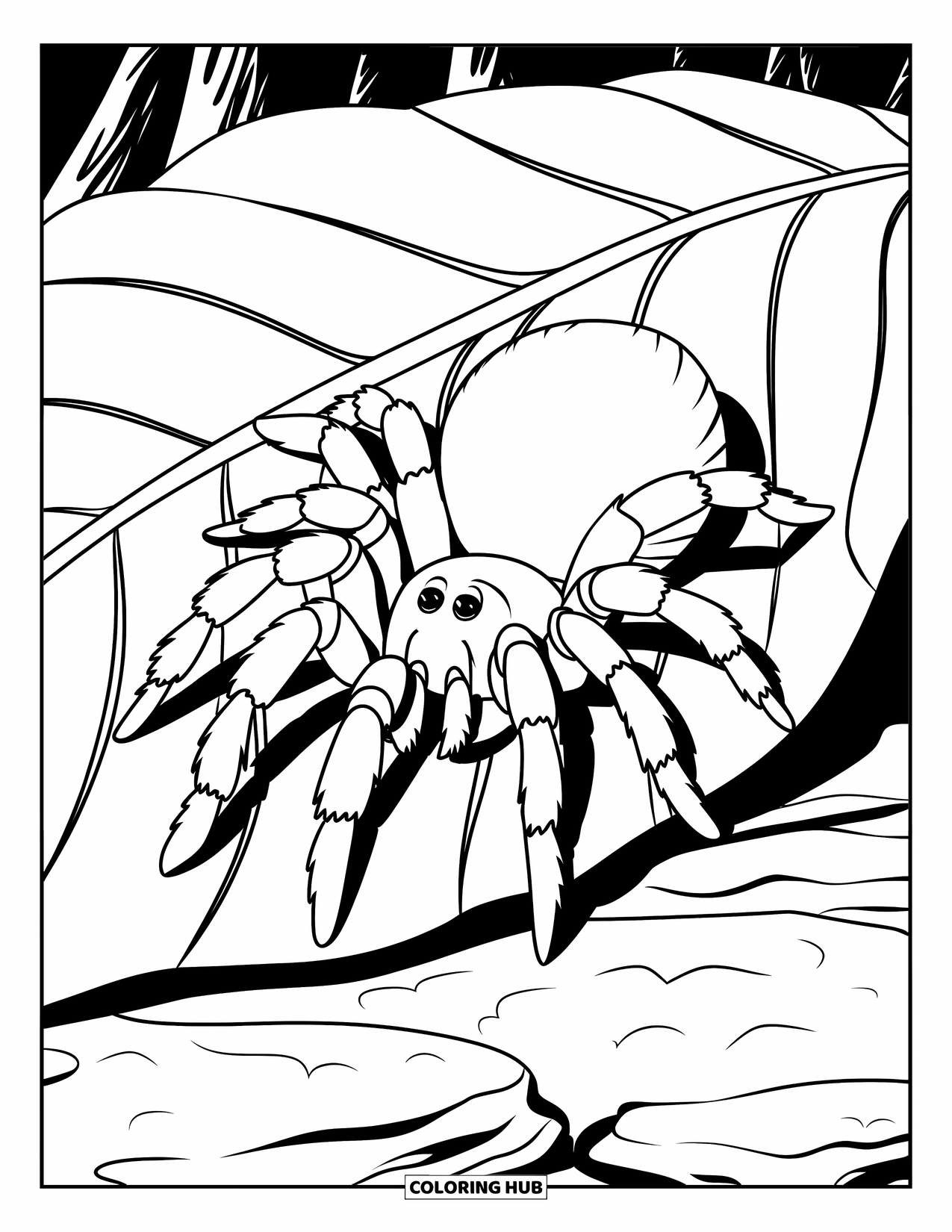 Spinnen-Ausmalbild für Kinder: Eine Vogelspinne sitzt auf einem Blatt über felsigem Boden in einem ruhigen Wald