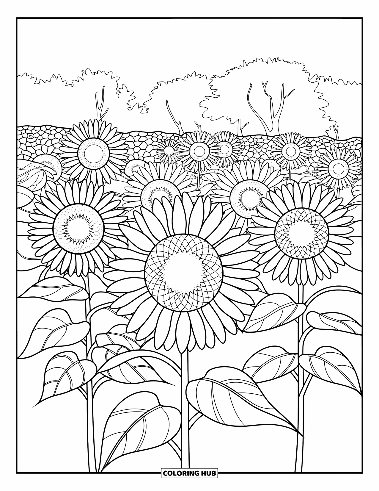 Buntglas Ausmalbild für Erwachsene: Detaillierter Sonnenblumengarten mit kräftigen Buntglasumrissen