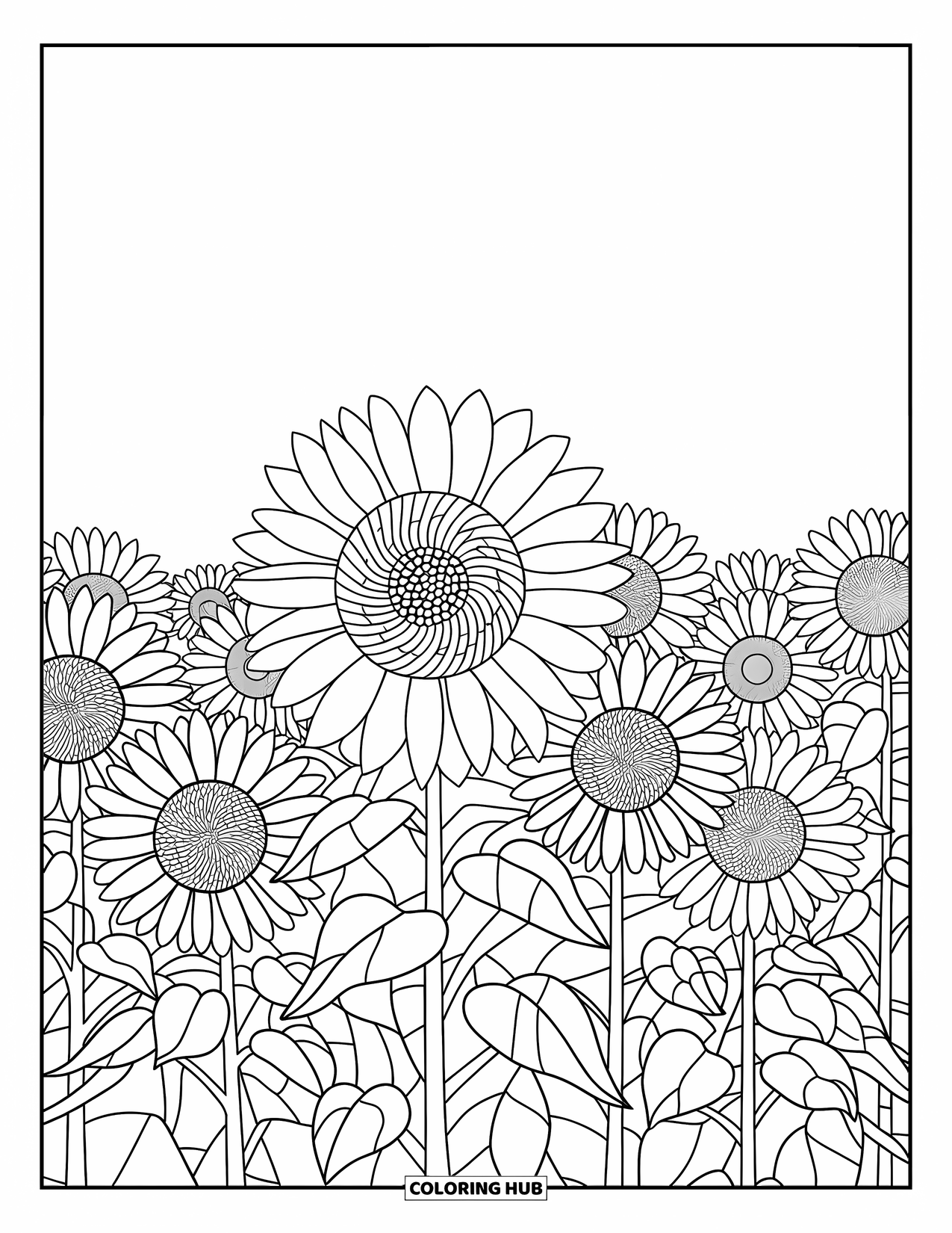 Buntglas Ausmalbild für Erwachsene: Feld mit hohen Sonnenblumen mit kräftigen Buntglasmustern