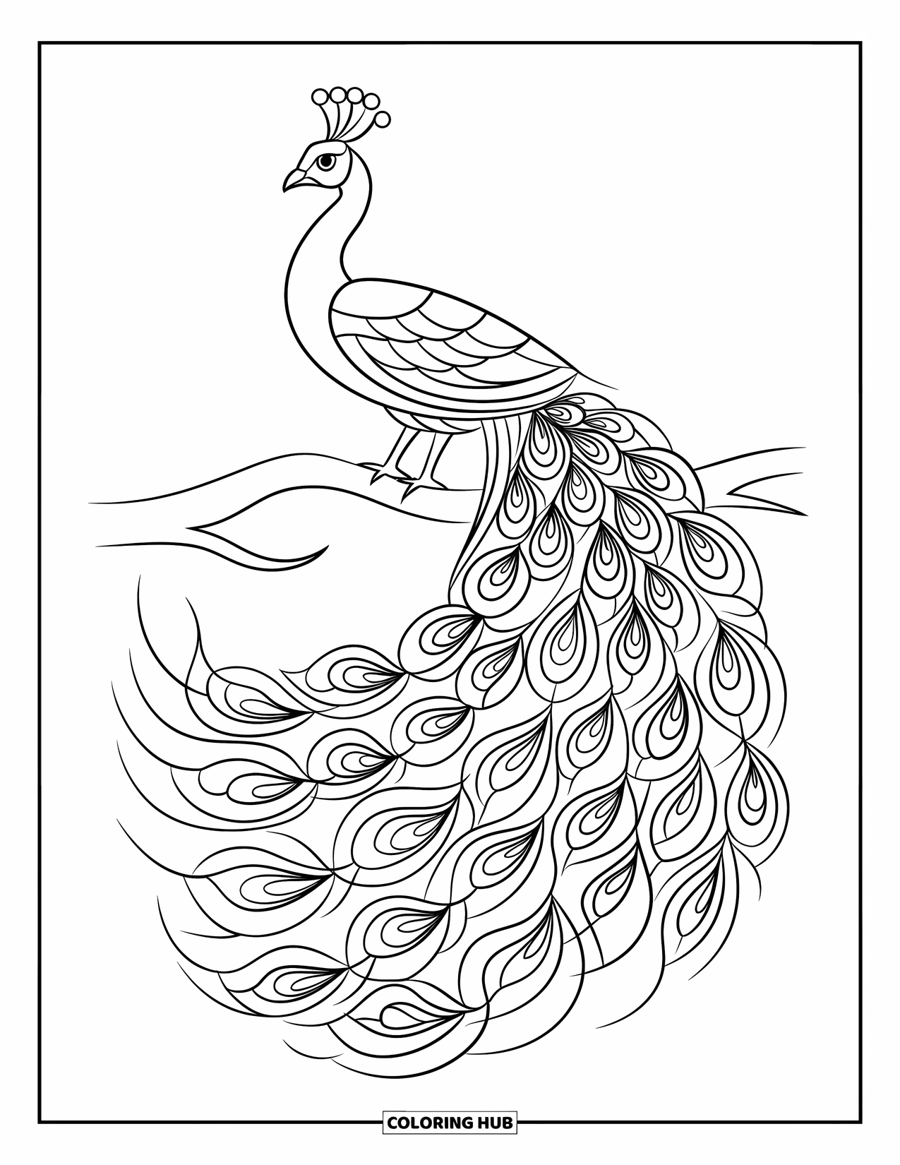 Buntglas Ausmalbild für Erwachsene: Anmutiger Pfau mit kräftigen Federmustern im Buntglasstil