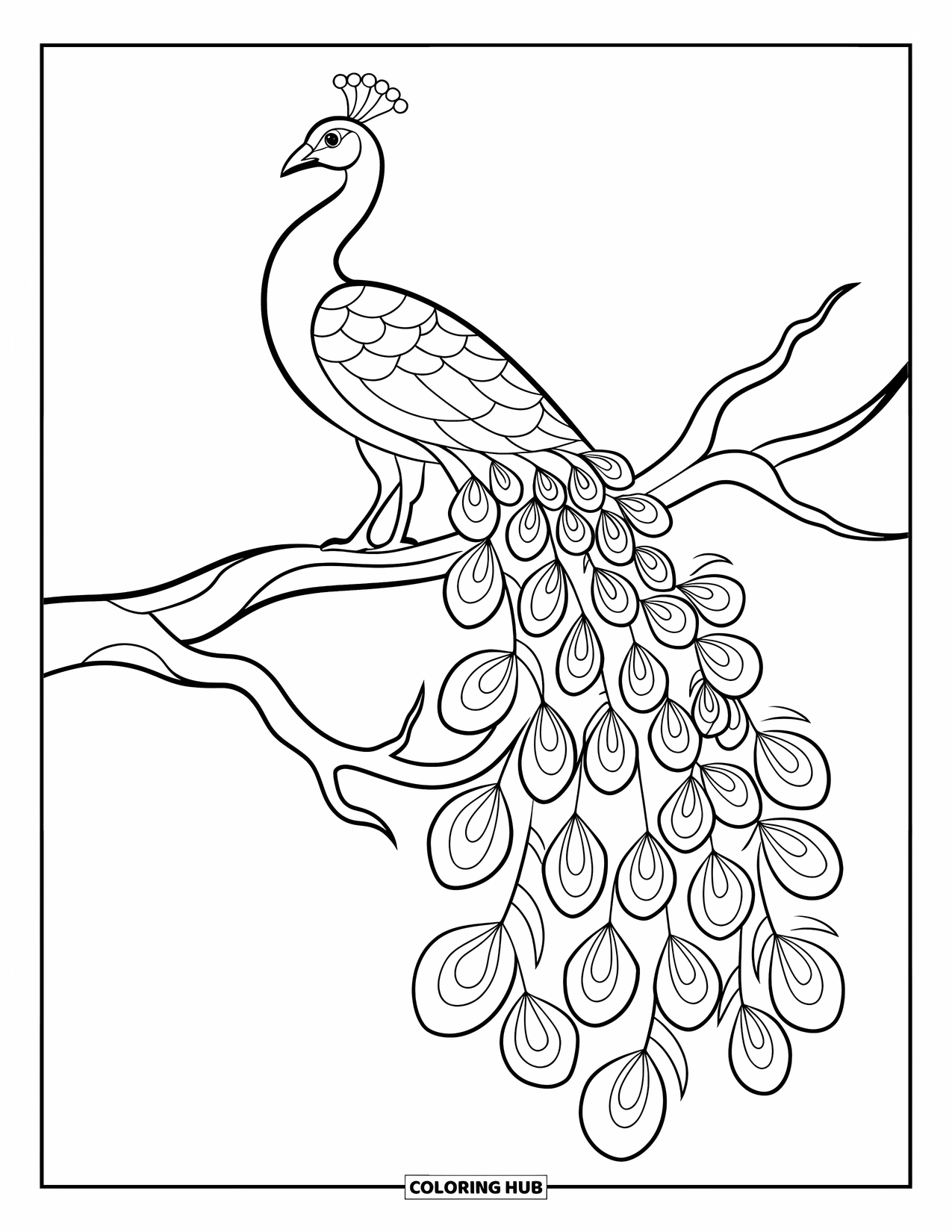 Buntglas Ausmalbild für Erwachsene: Sitzender Pfau mit detailliertem Schwanz im Buntglasstil