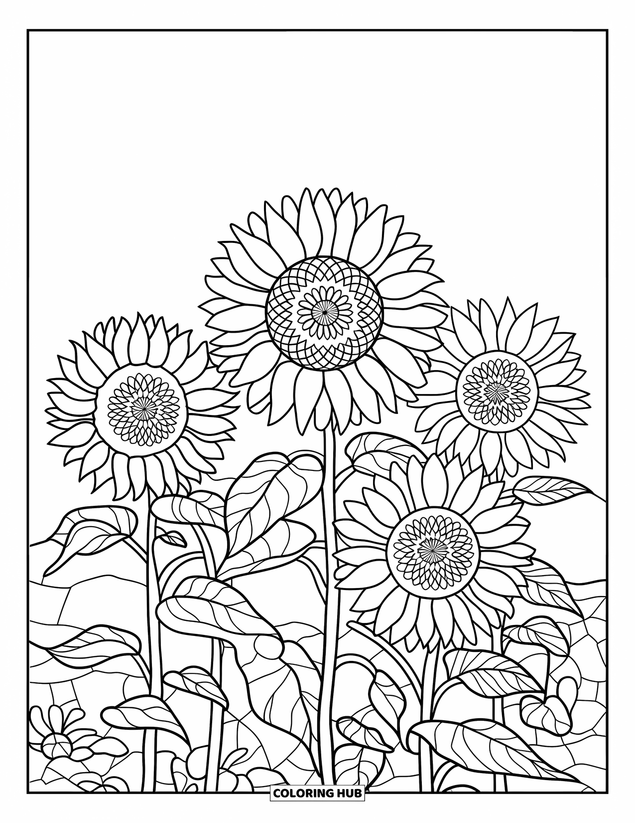 Buntglas Ausmalbild für Erwachsene: Buntglas-Sonnenblumenfeld mit blattartigen Mustern und einem sanften Himmel