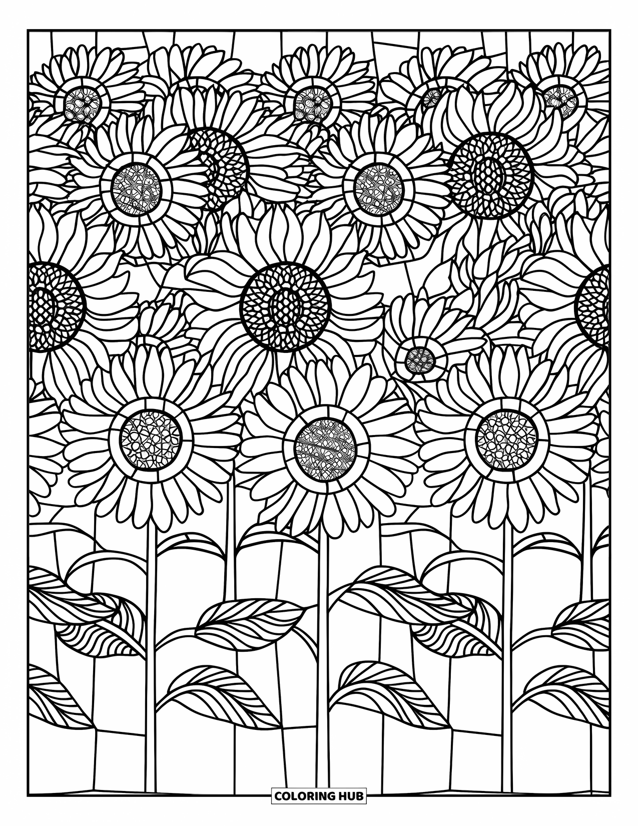 Buntglas Ausmalbild für Erwachsene: Sonnenblumen in ordentlichen Reihen mit kräftigen Buntglasmustern