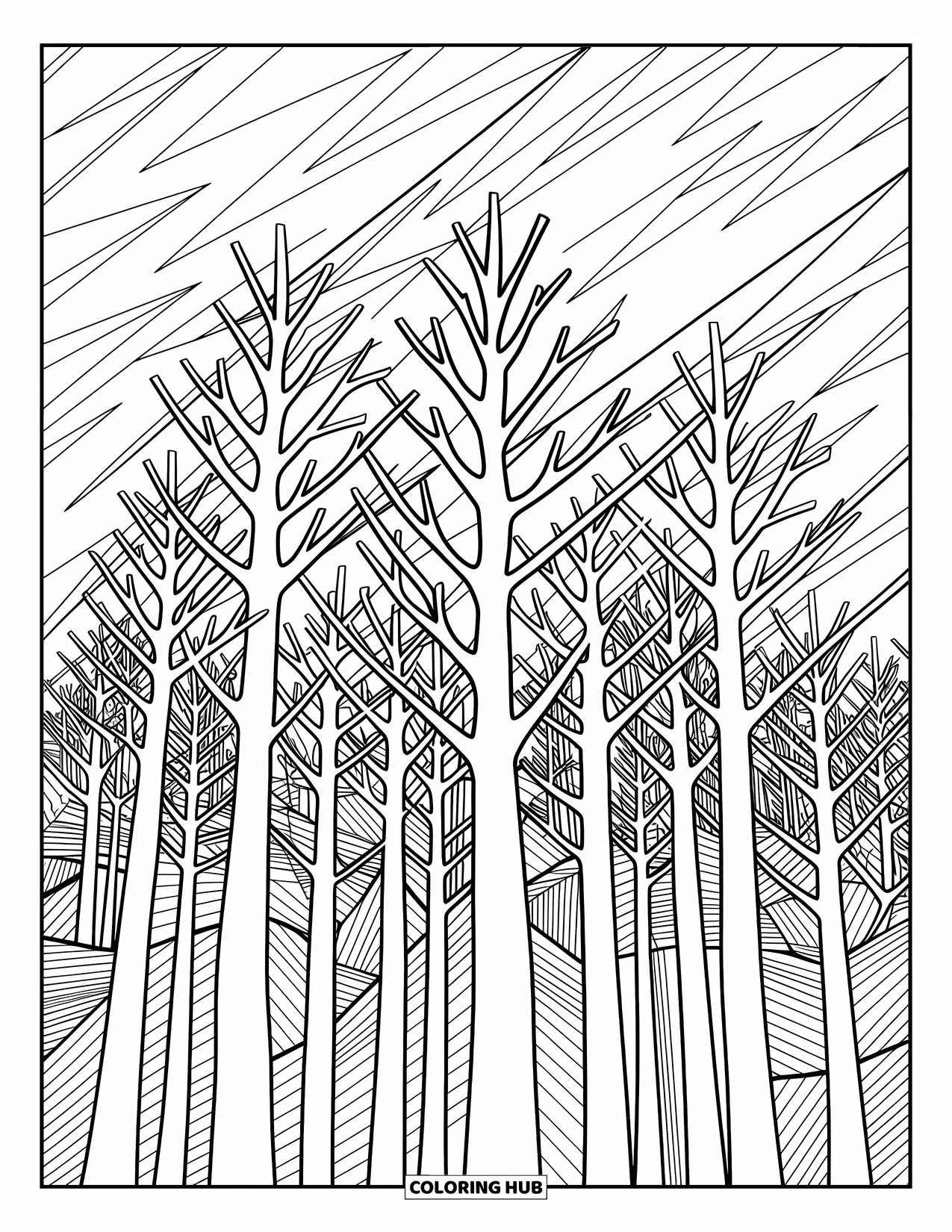 Weather Coloring Page for Adults: A storm whips through tall trees, with wind spirals and angled rain filling the scene