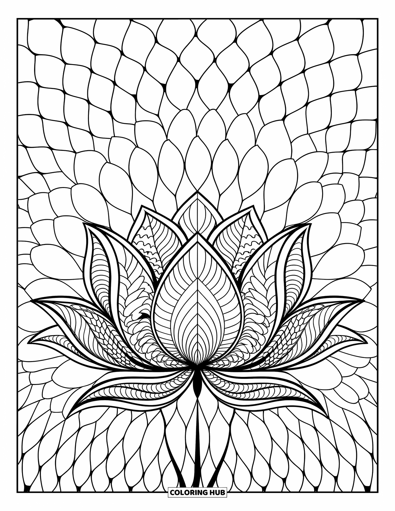 Zentangle Ausmalbild für Erwachsene: Eine blühende Lotusblume breitet sich über einem Hintergrund aus weichen, kreisförmigen Linien aus