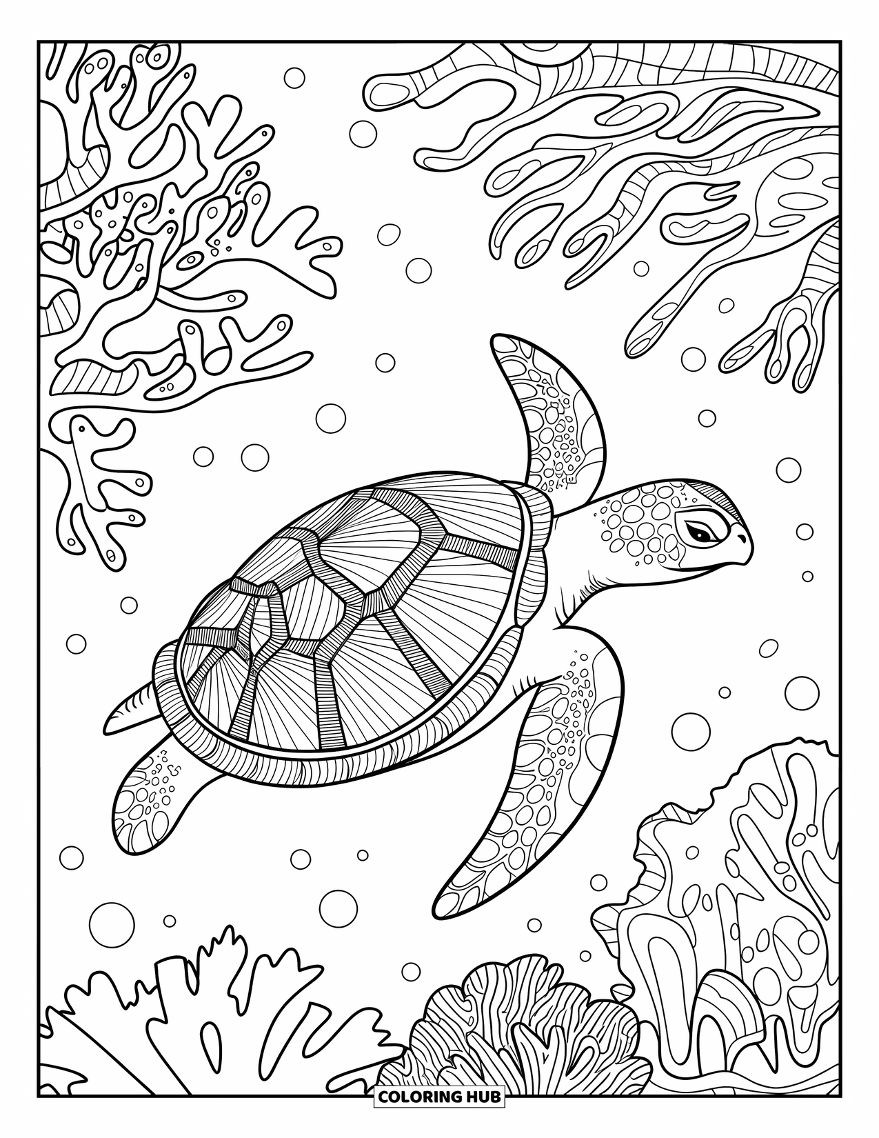 Zentangle Ausmalbild für Erwachsene: Eine Schildkröte schwimmt an Korallenriffen vorbei, die mit Dreiecken, Spiralen und Kreisen gefüllt sind