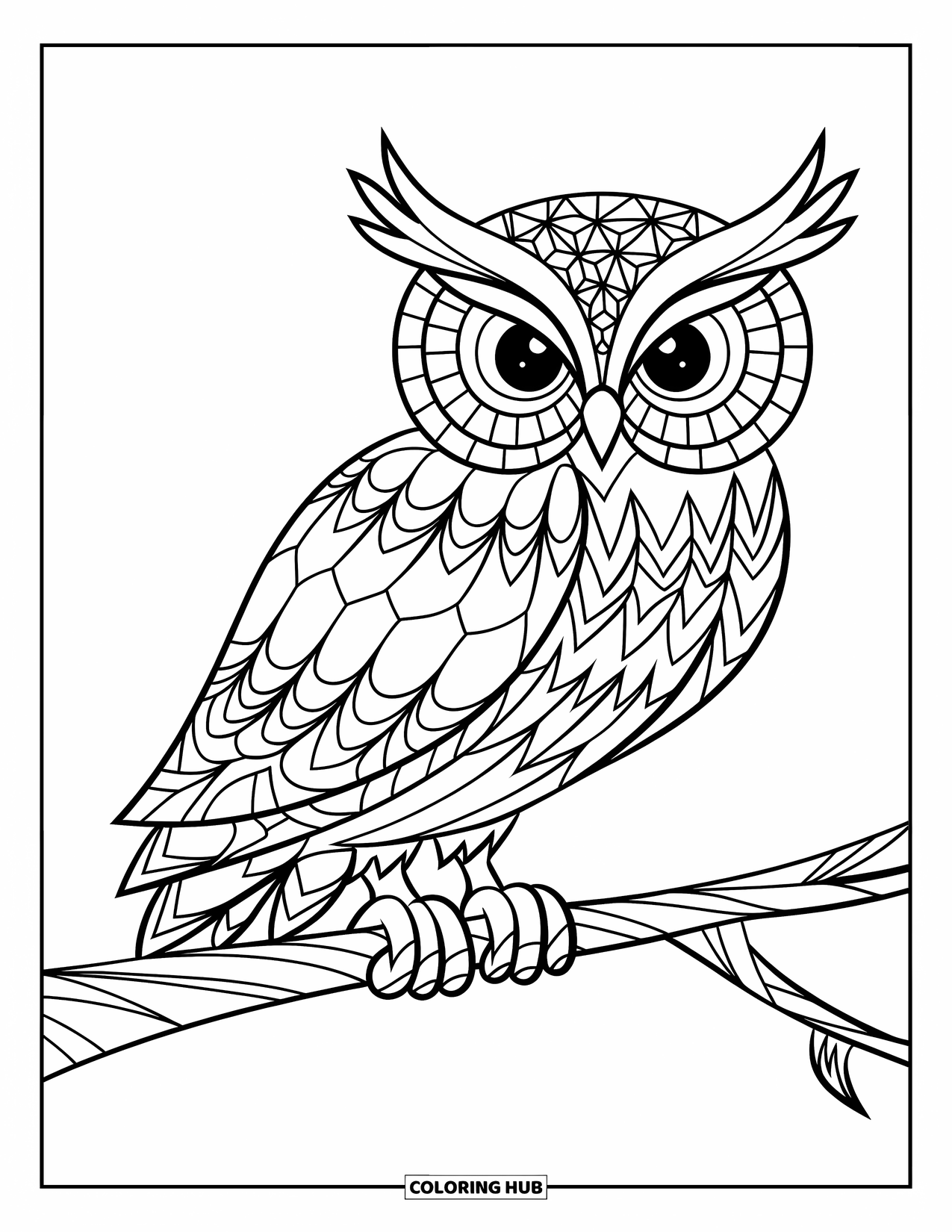 Zentangle Ausmalbild für Kinder: Eine detaillierte Eule mit ineinandergreifenden Mustern sitzt mit Flair auf einem Ast