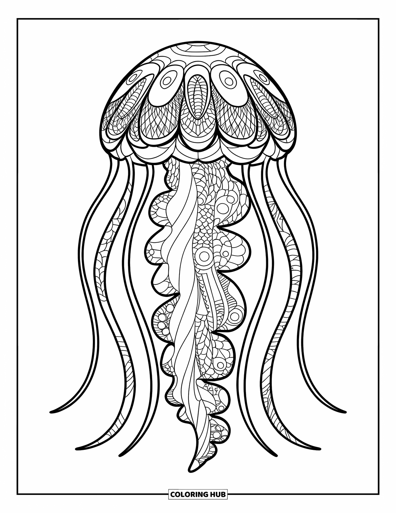 Zentangle Ausmalbild für Kinder: Eine große Qualle schwebt mit gemusterten Tentakeln, die nach unten ziehen