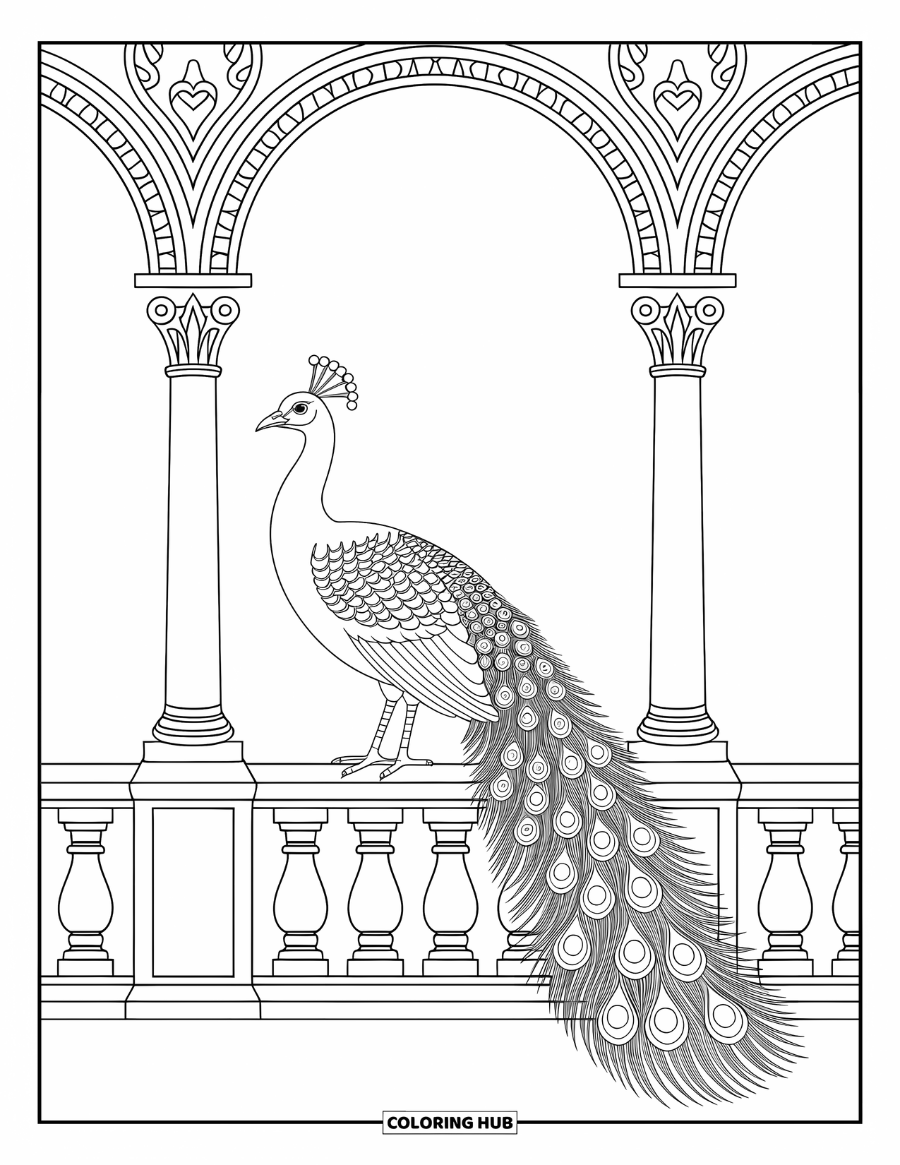 Zoo Coloring Page for Adults: A fanned peacock sits on a railing surrounded by intricate columns and ornate patterns