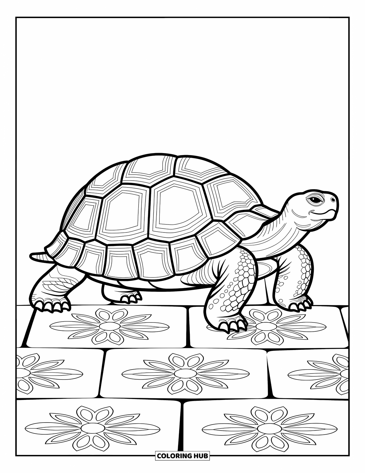 Zoo Coloring Page for Adults: A tortoise moves slowly along a path filled with detailed flowers and geometric patterns