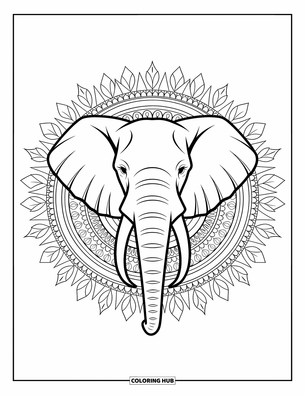Zoo Coloring Page for Adults: An elephant head with intricate mandala designs is framed by patterned leaves and zoo arches