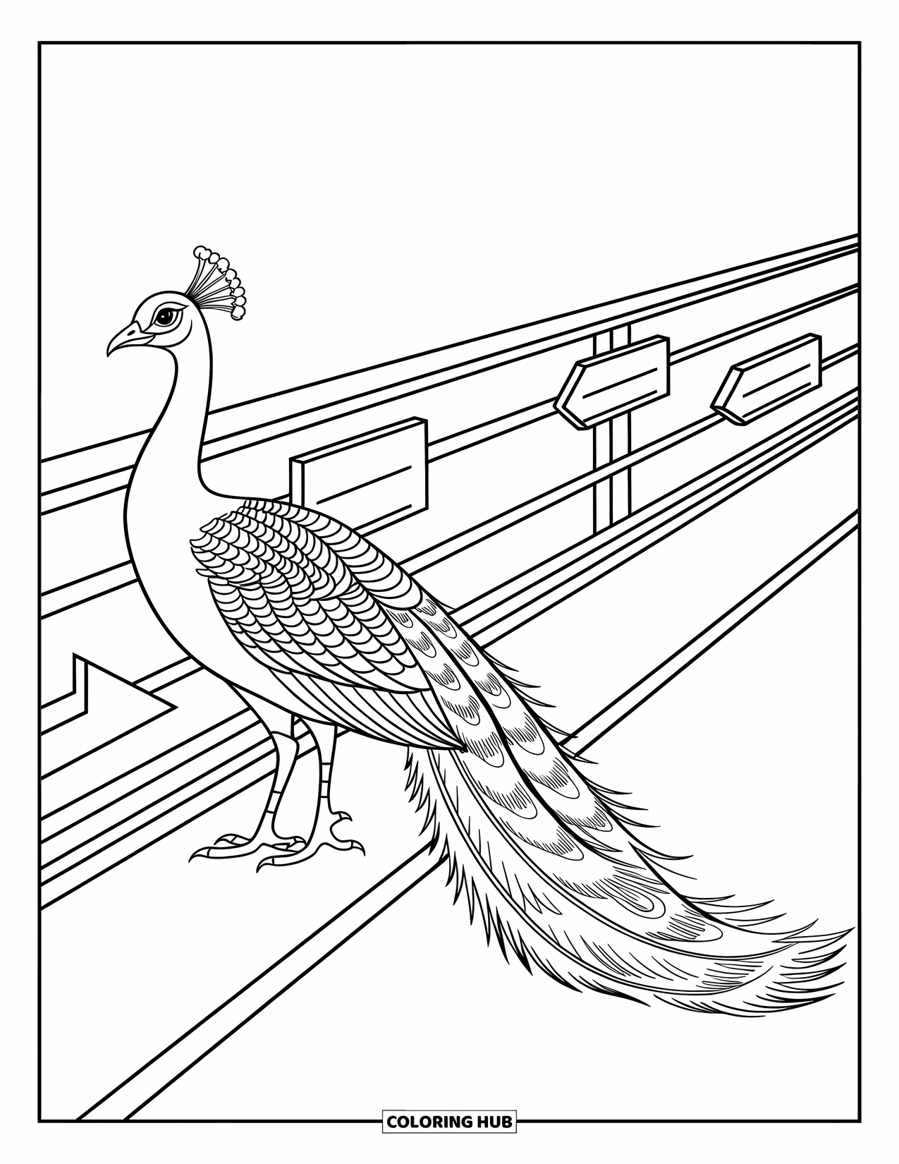 Zoo Coloring Page for Kids: A majestic peacock walks near directional signs with playful forest and cloud details
