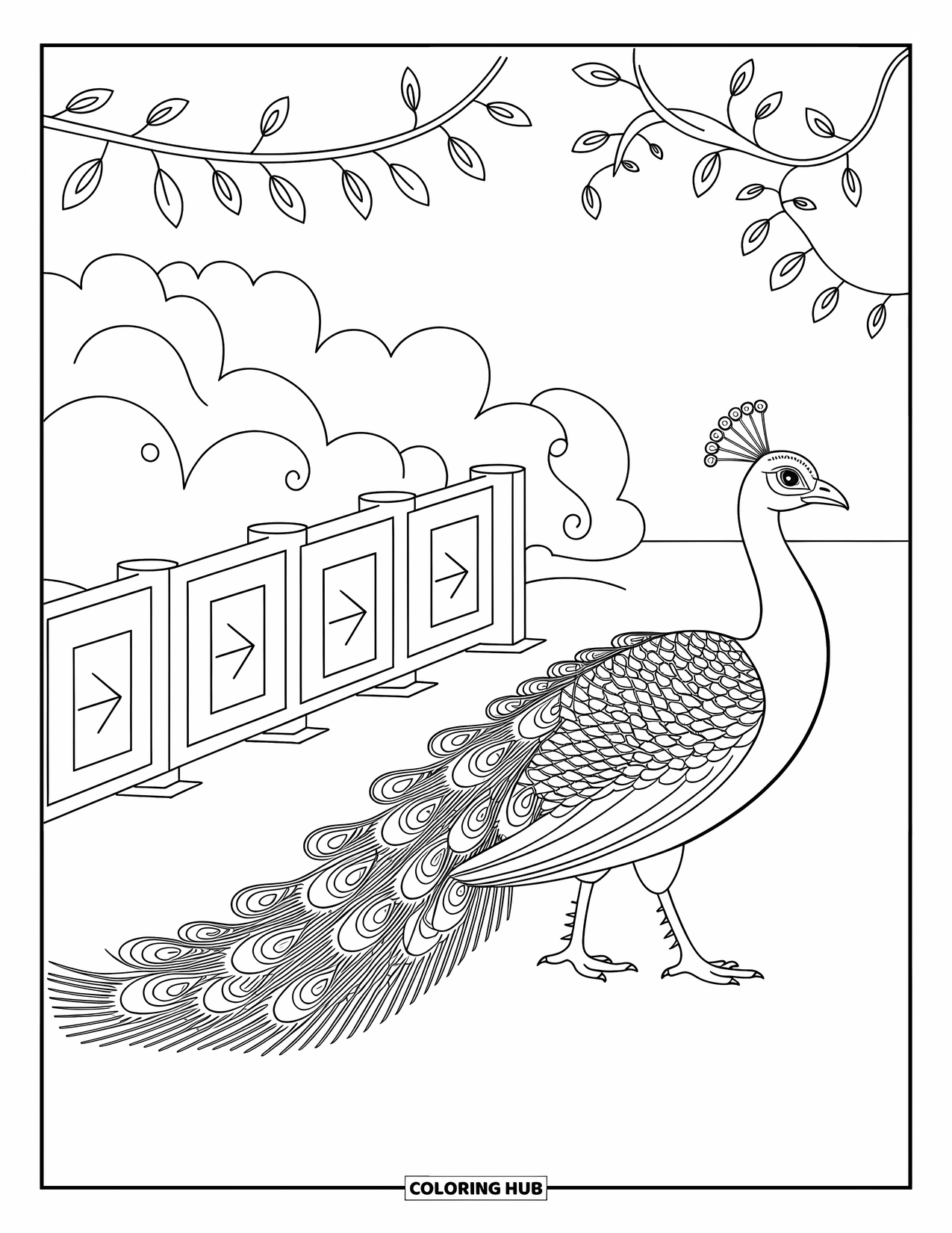 Zoo Coloring Page for Kids: A peacock passes zoo arrows as leafy vines and shapes decorate the path