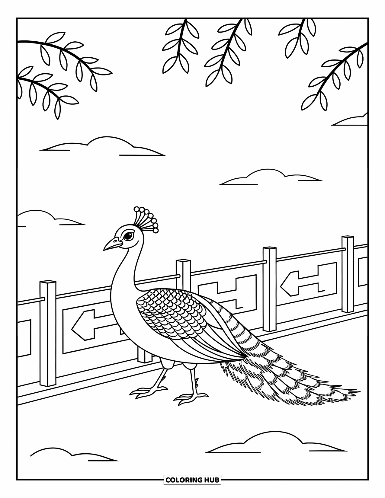 Zoo Coloring Page for Kids: A peacock walks past a zoo sign with leafy branches and whimsical clouds behind it