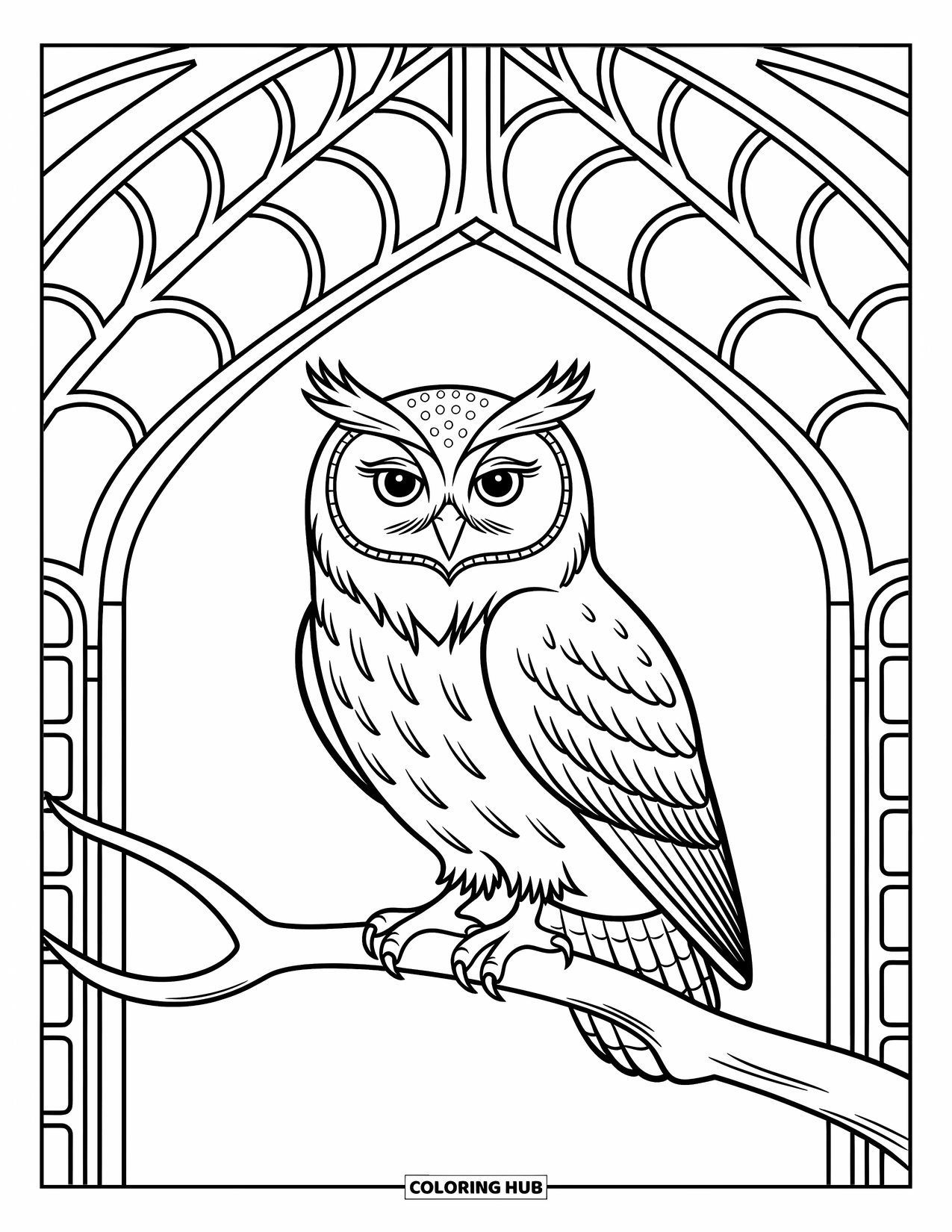 Zoo Coloring Page for Kids: An owl perches inside a dome aviary with fluffy feathers and whimsical arches