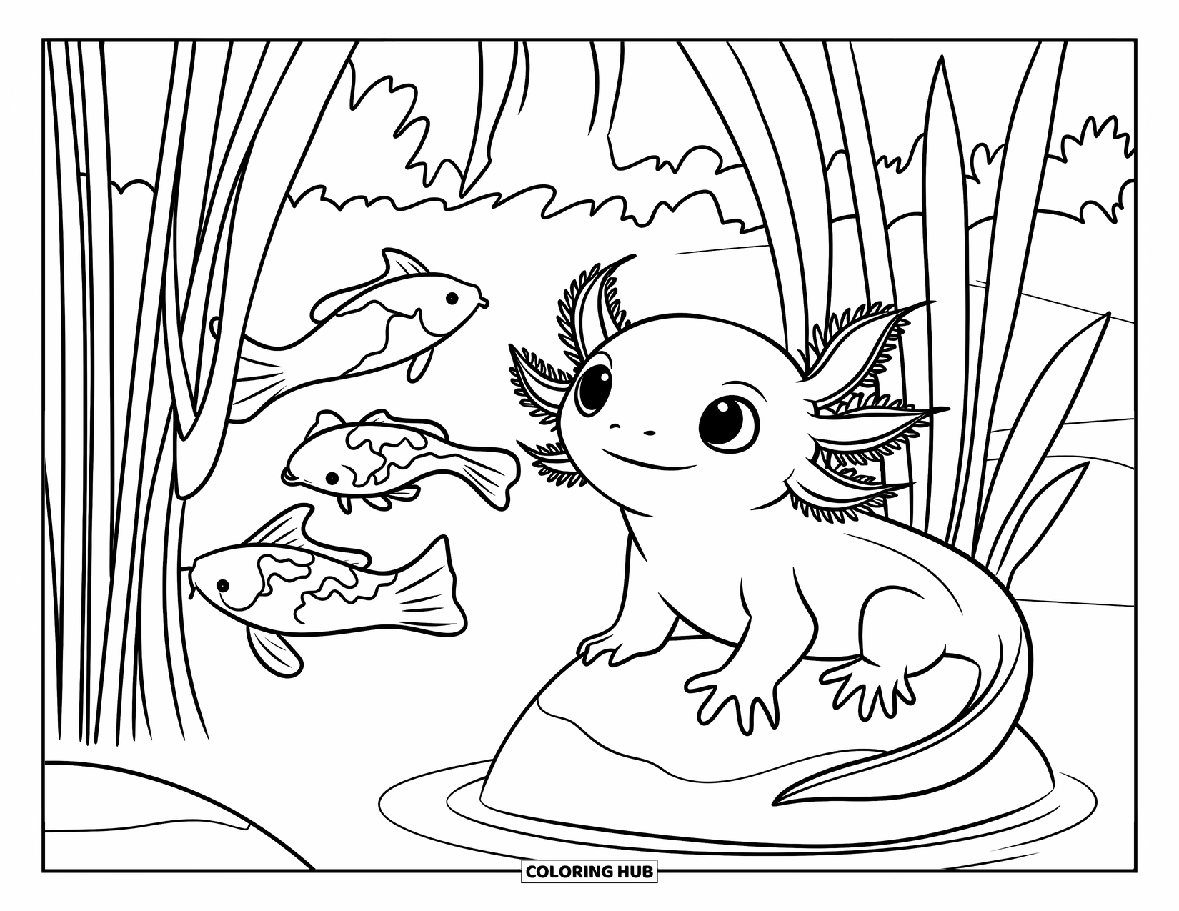 Baby Axolotl Coloring Page for Kids: Axolotl watches koi swim past reeds while sitting on a rock
