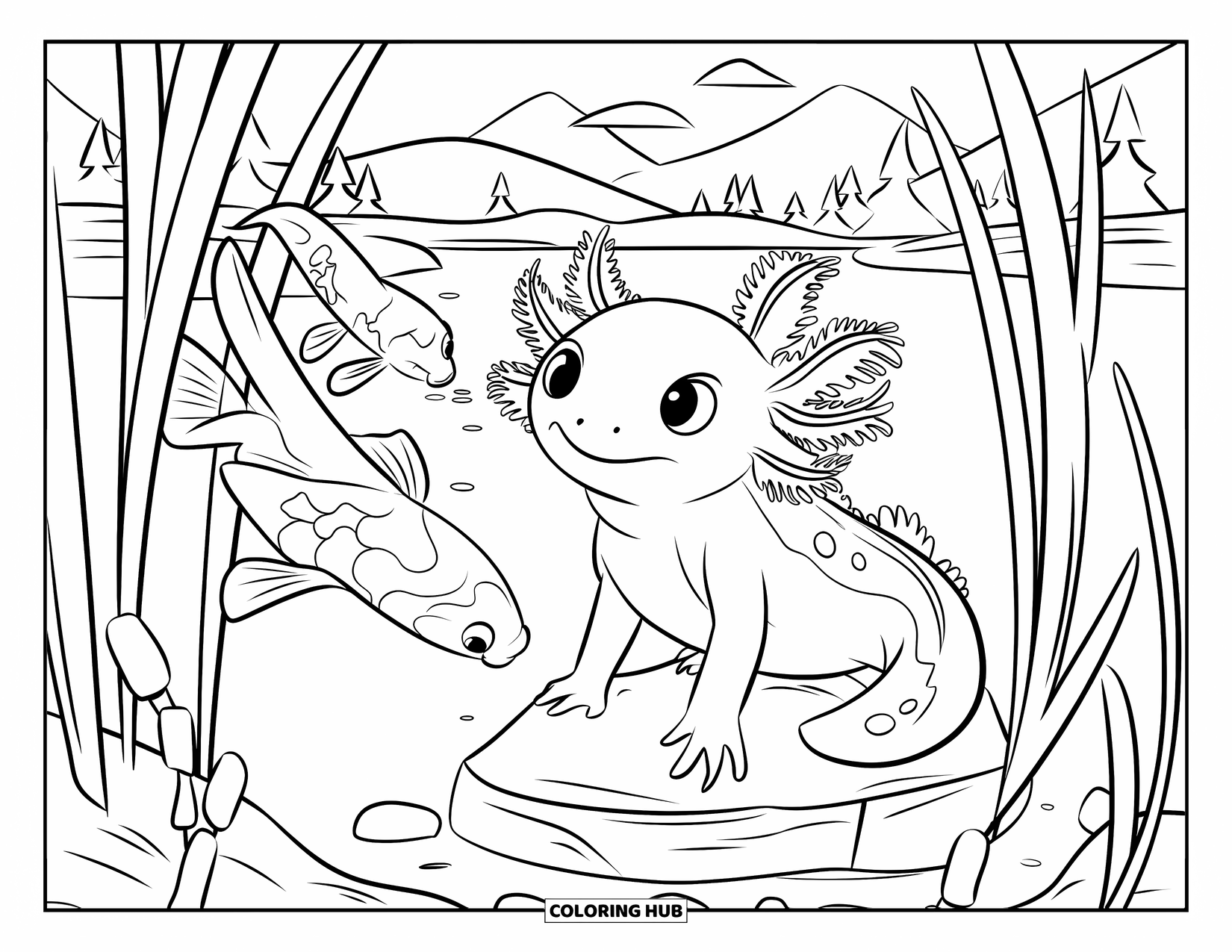 Baby Axolotl Coloring Page for Kids: Baby axolotl sits on a pond rock, watching koi through swaying reeds