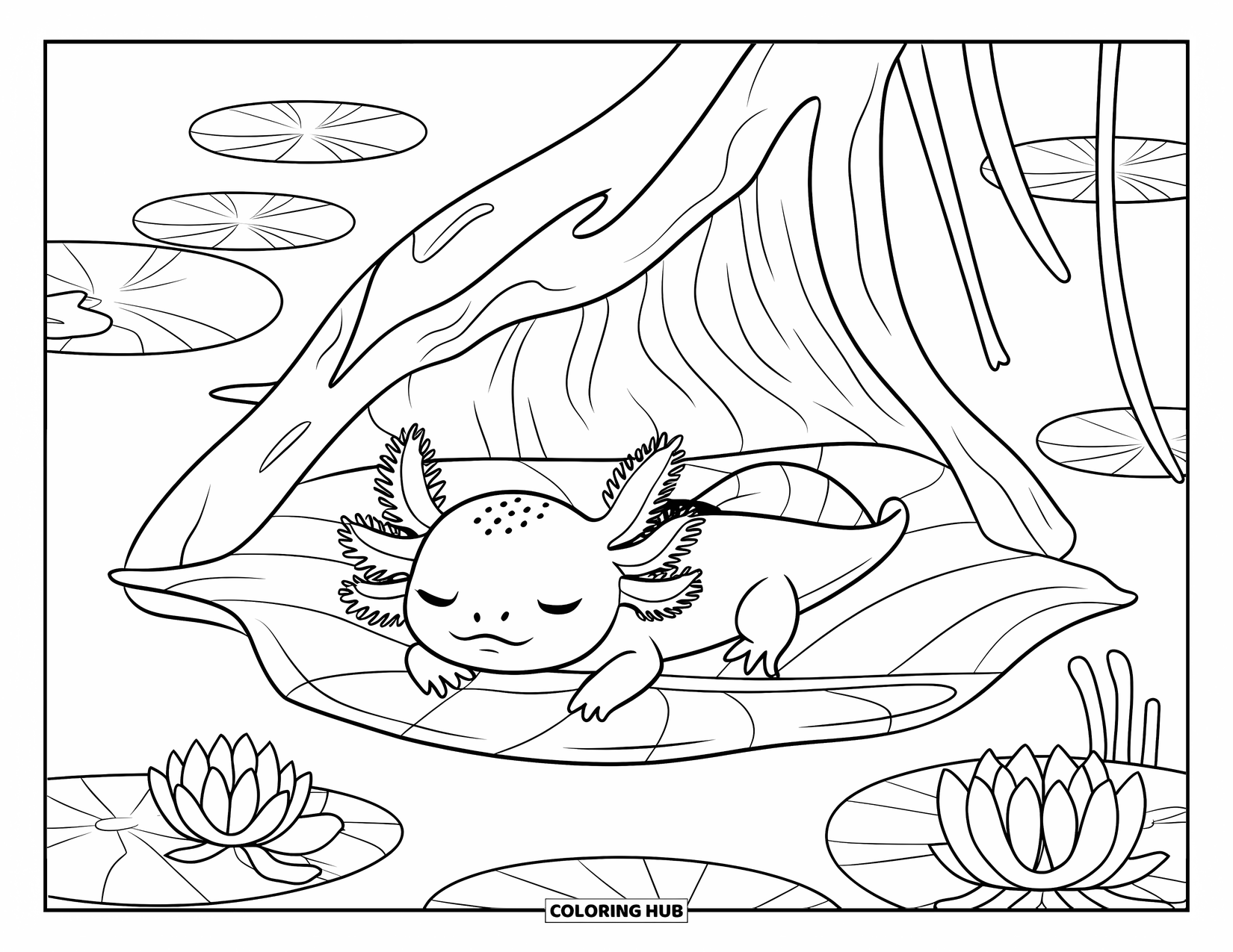 Baby Axolotl Coloring Page for Kids: Sleepy axolotl lies among water lilies and lotus flowers