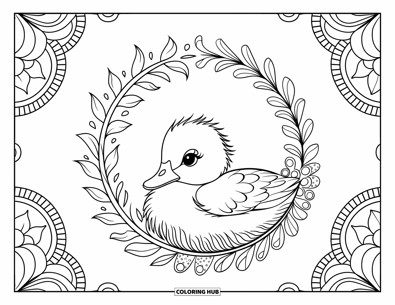 Baby Duck Coloring Page for Adults: A baby duck relaxes inside a floral wreath with detailed mandala borders