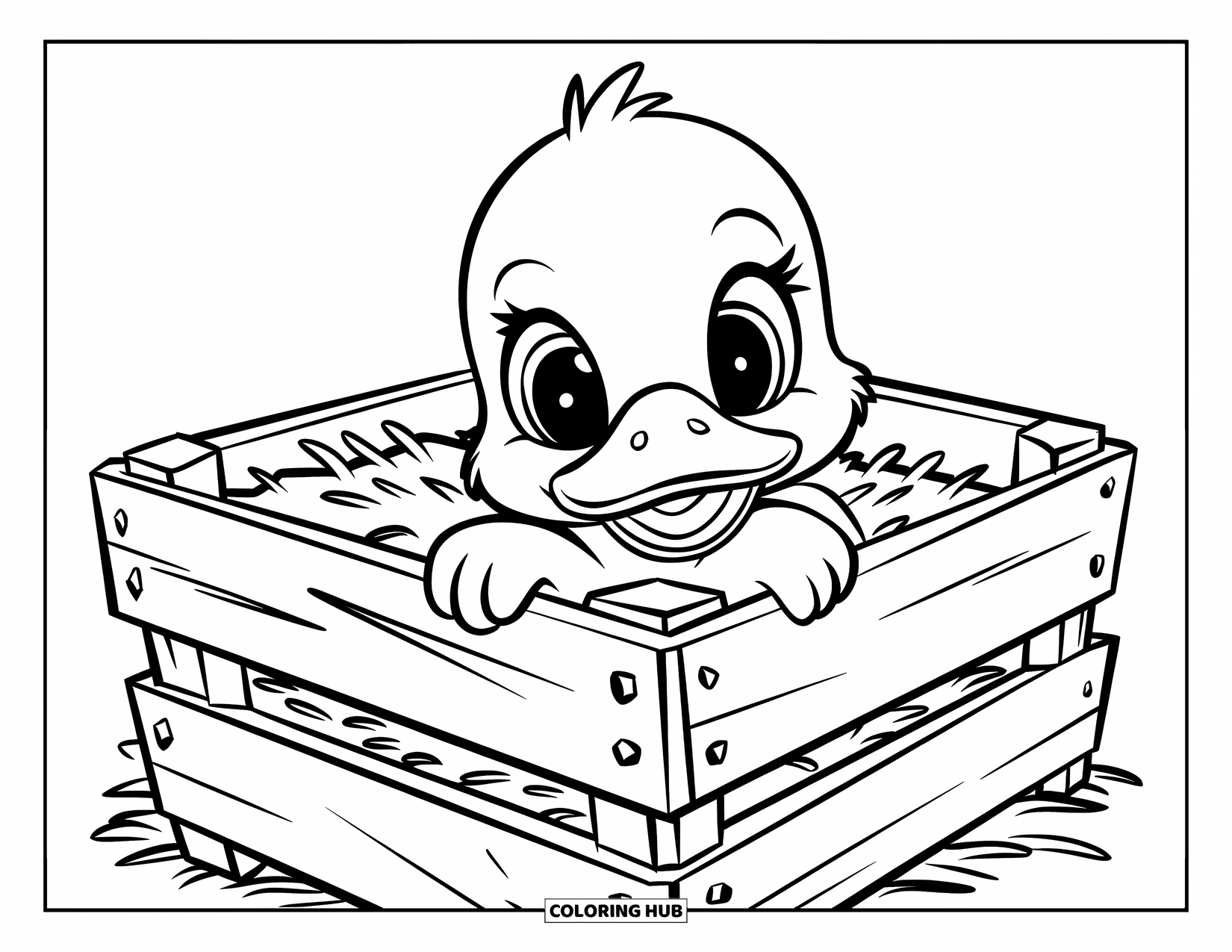Baby Duck Coloring Page for Kids: A duck peeks out of a wooden crate packed with hay