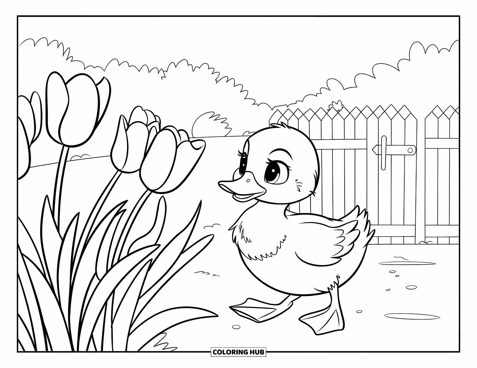 Baby Duck Coloring Page for Kids: A duck waddles through tulips near a fence and gate