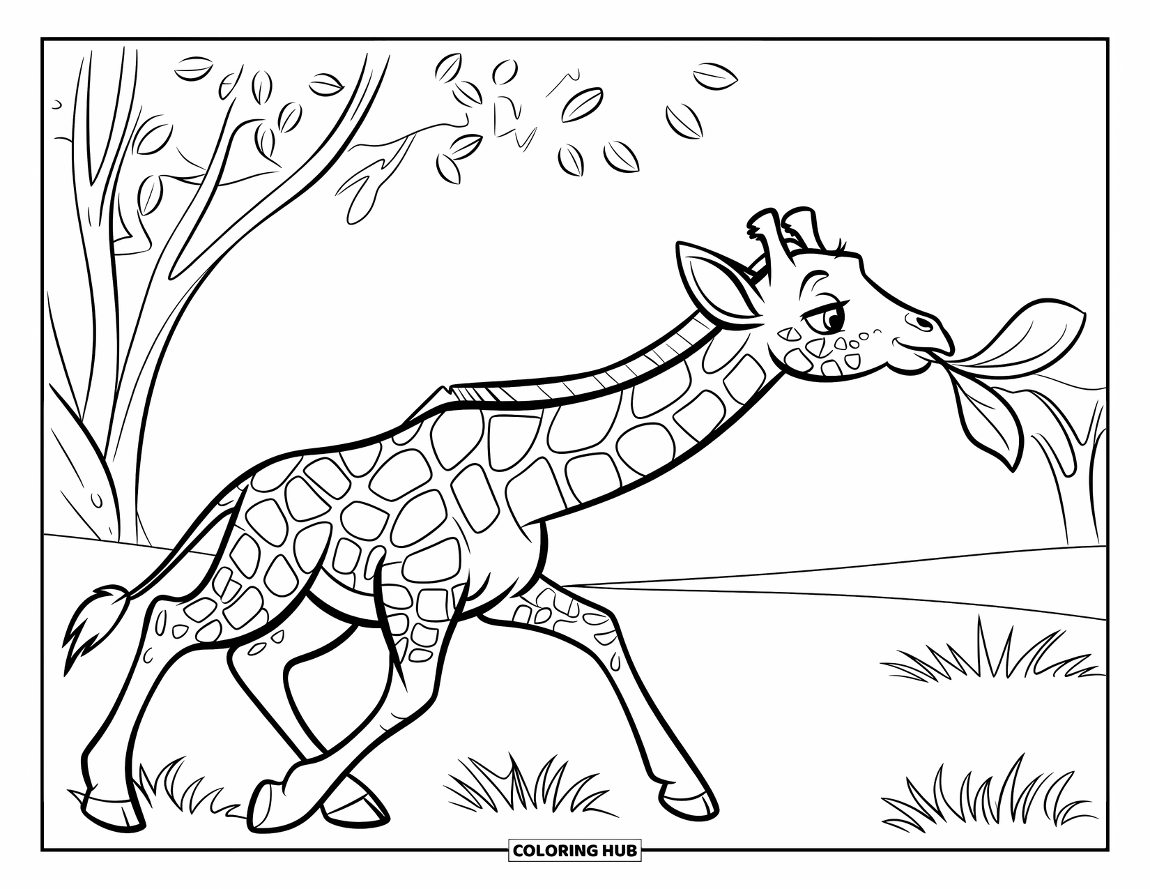 Baby Giraffe Coloring Page for Kids: A baby giraffe stretches its neck to reach a leaf from a nearby tree
