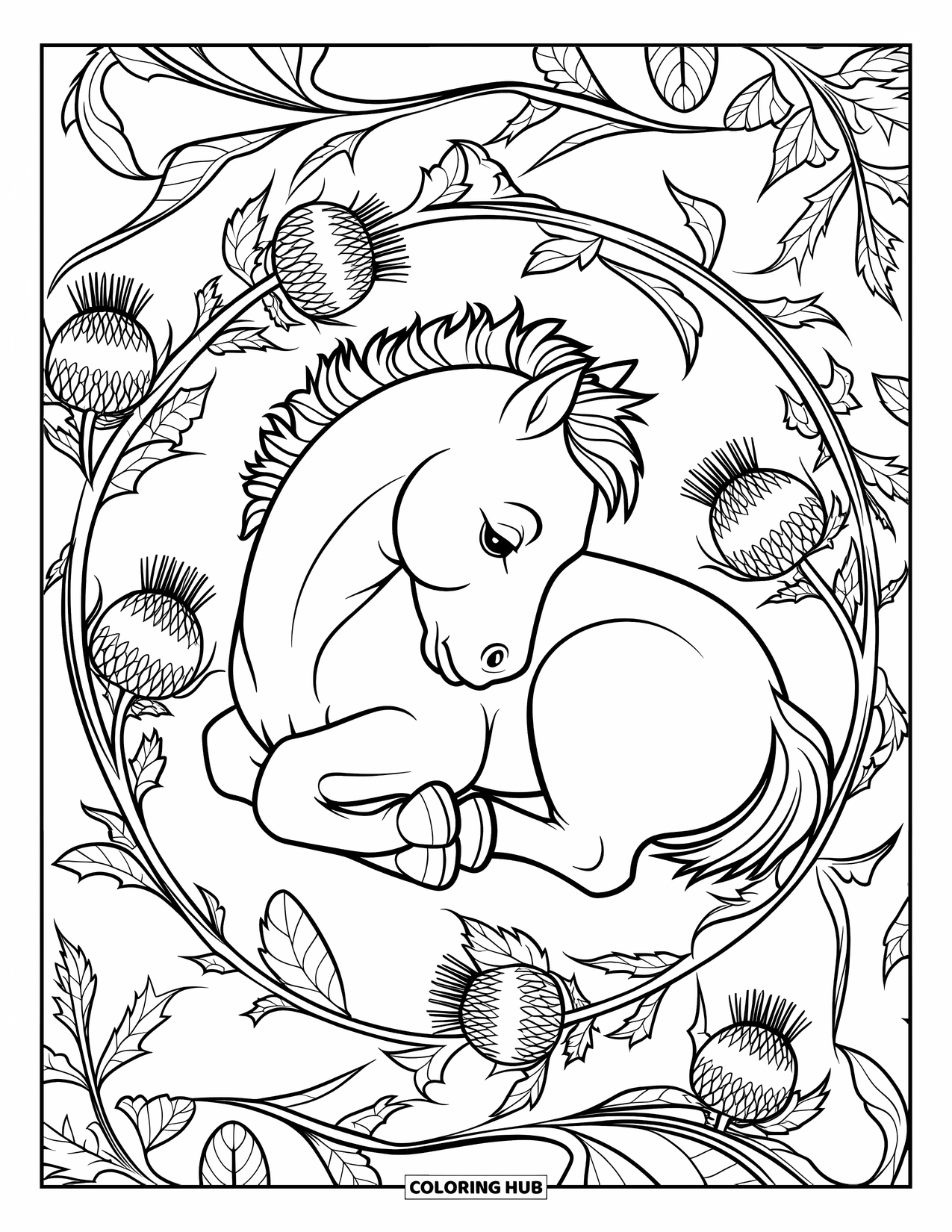 Baby Horse Coloring Page for Adults: A foal sleeps curled up in a detailed thistle and vine design