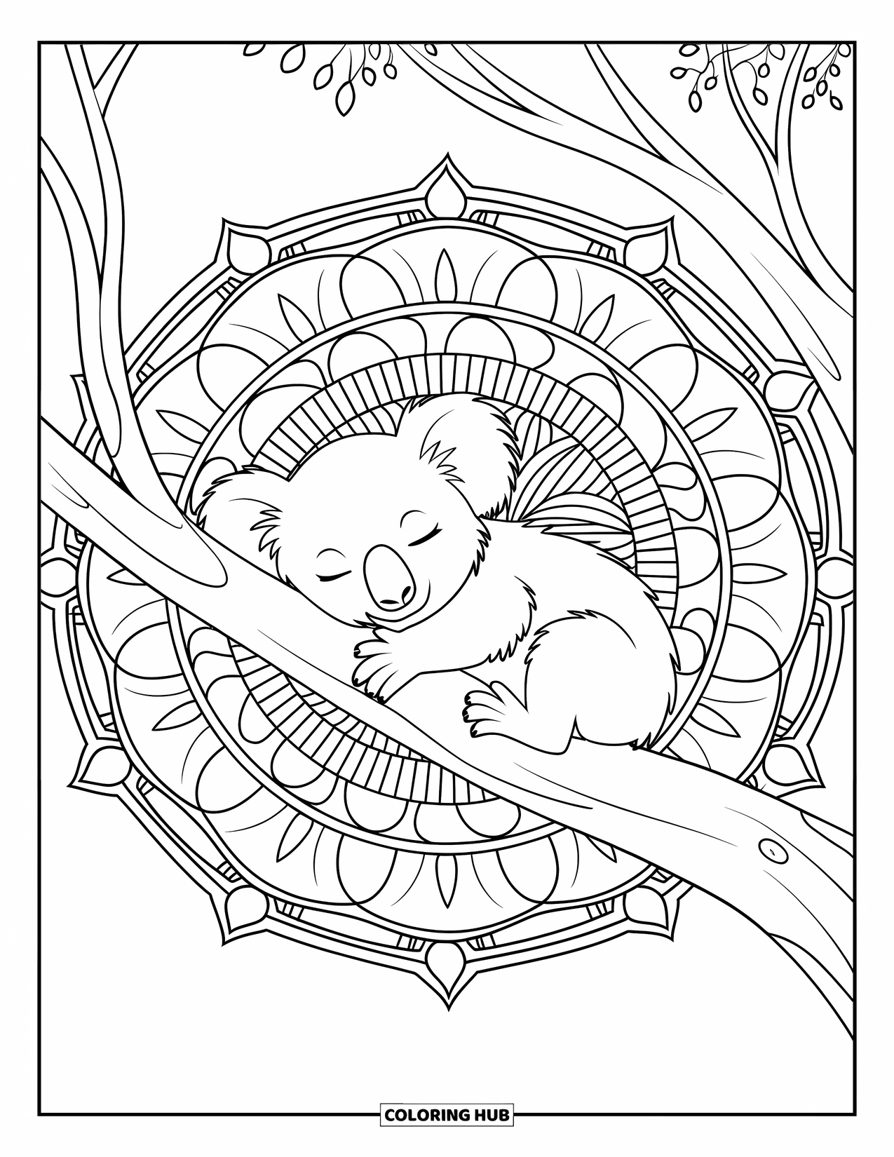 Baby Koala Coloring Page for Adults: A sleeping koala rests on a branch within a eucalyptus mandala design