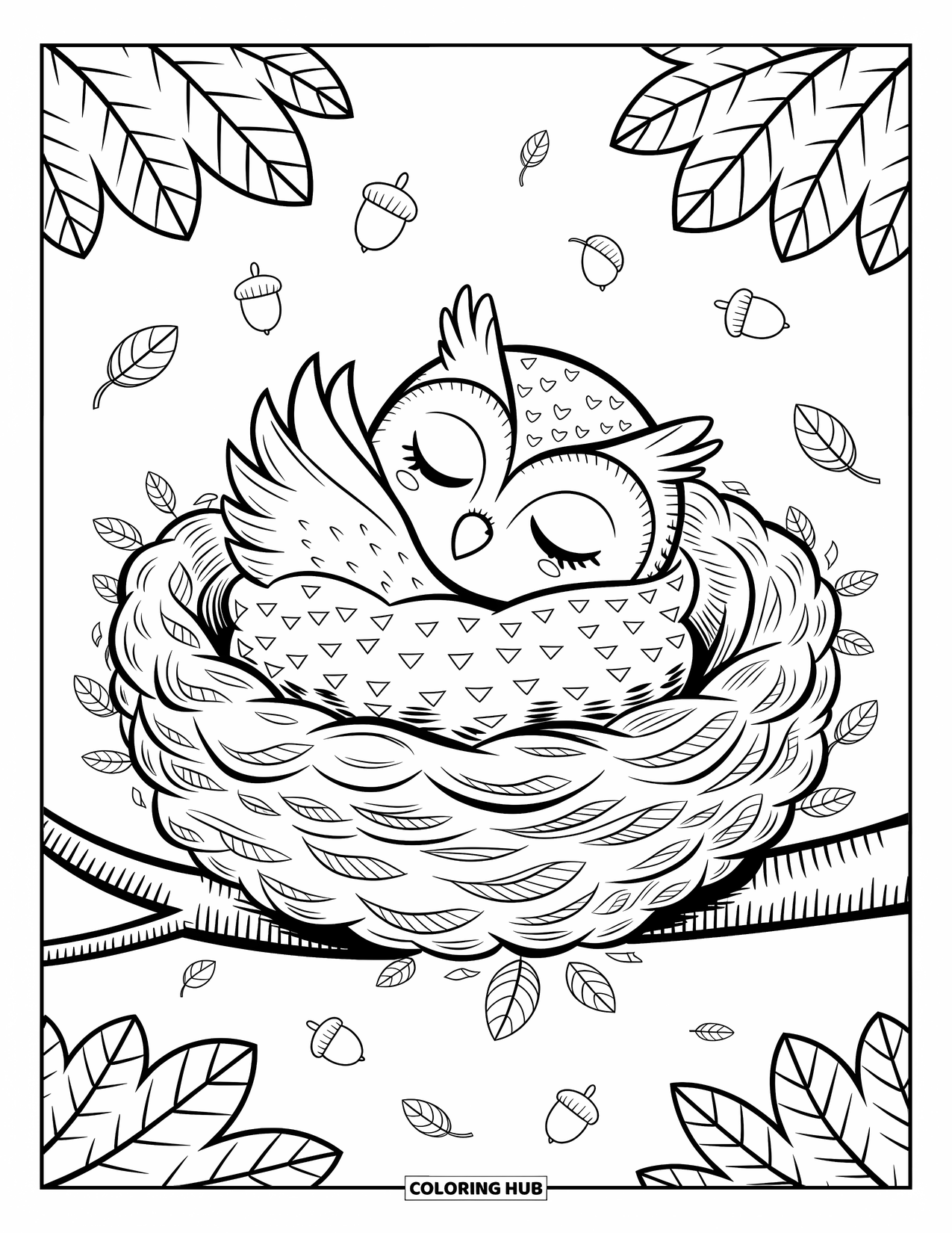 Baby Owl Coloring Page for Adults: Baby owl rests peacefully in a leafy nest surrounded by acorns and gentle leaves