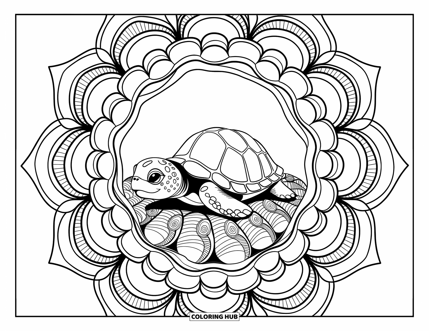 Baby Turtle Coloring Page for Adults: A turtle lies on seashells surrounded by mandala patterns with circles and curved lines
