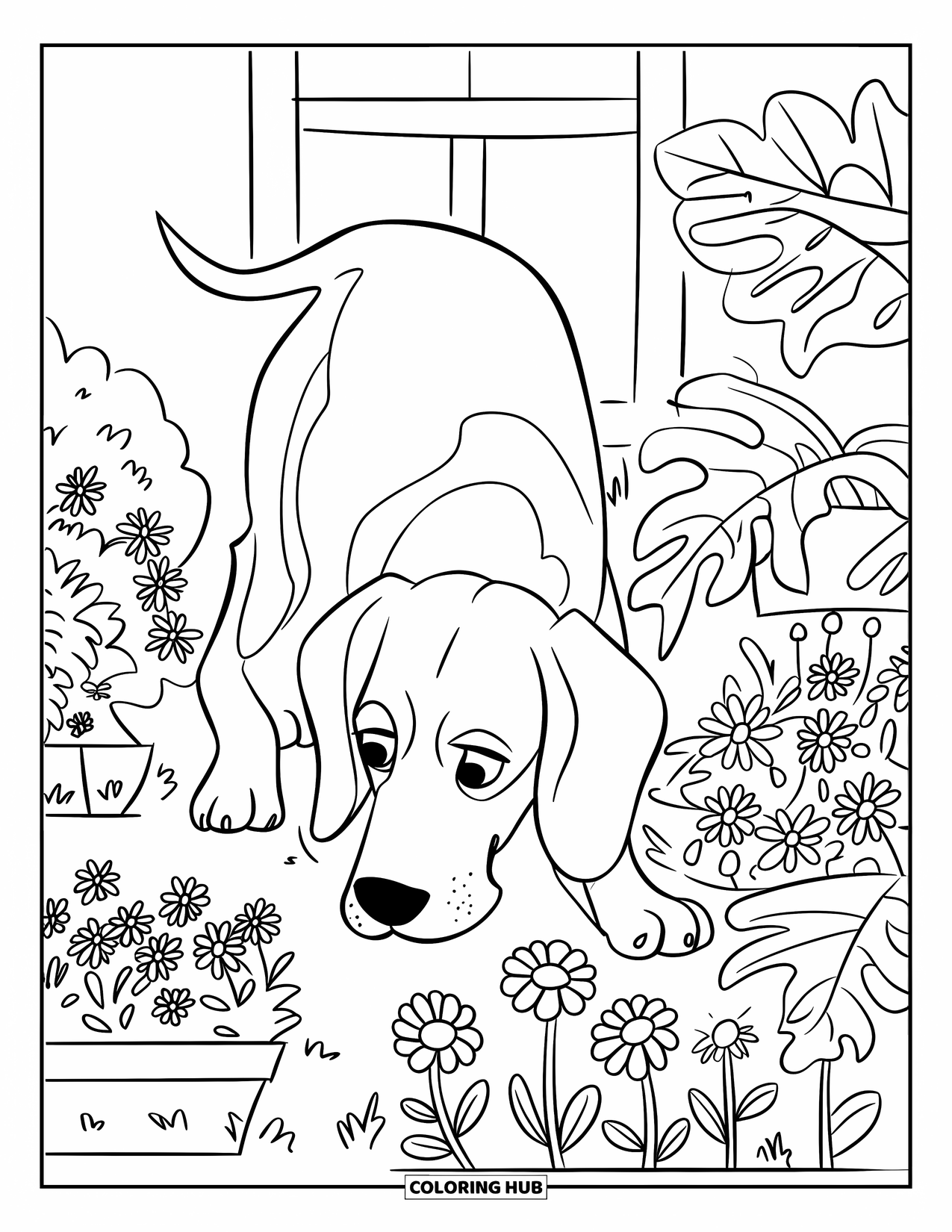 Beagle Coloring Page for Kids: Beagle exploring a garden with potted flowers and leafy plants