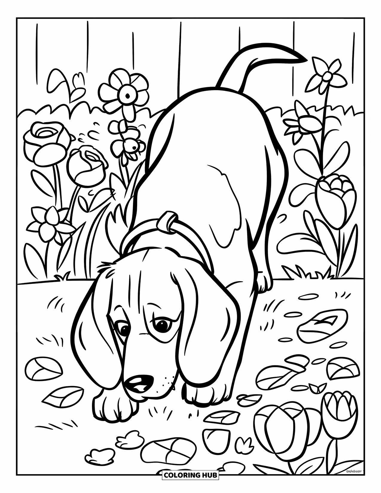 Beagle Coloring Page for Kids: Beagle sniffing flowers and leaves while wandering in a garden