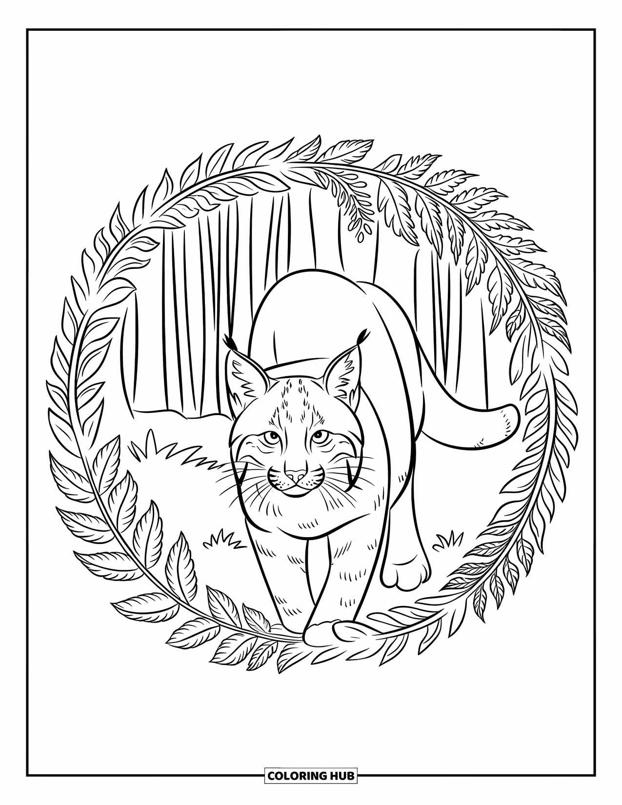 Bobcat Coloring Page for Adults: A bobcat approaches through a ring of ferns in a tall forest