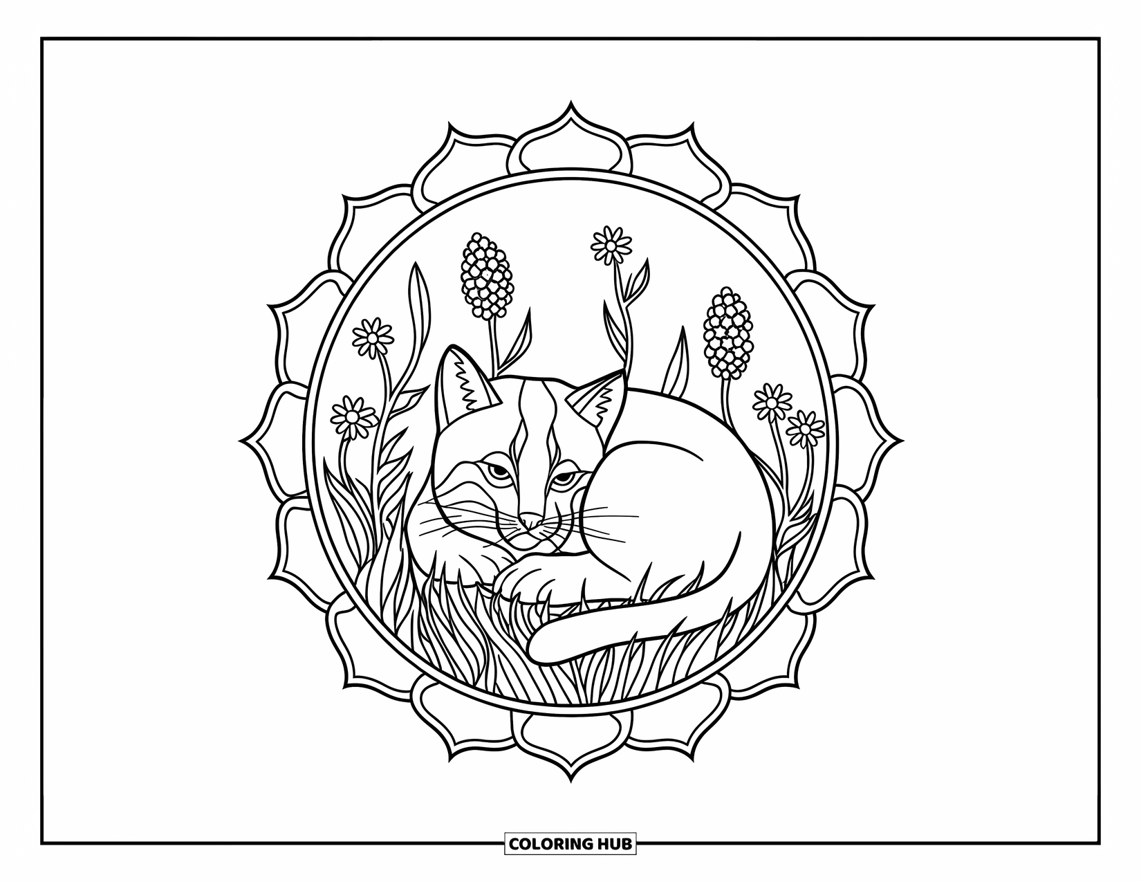 Bobcat Coloring Page for Adults: A bobcat curls up in a mandala of wildflowers and soft petals