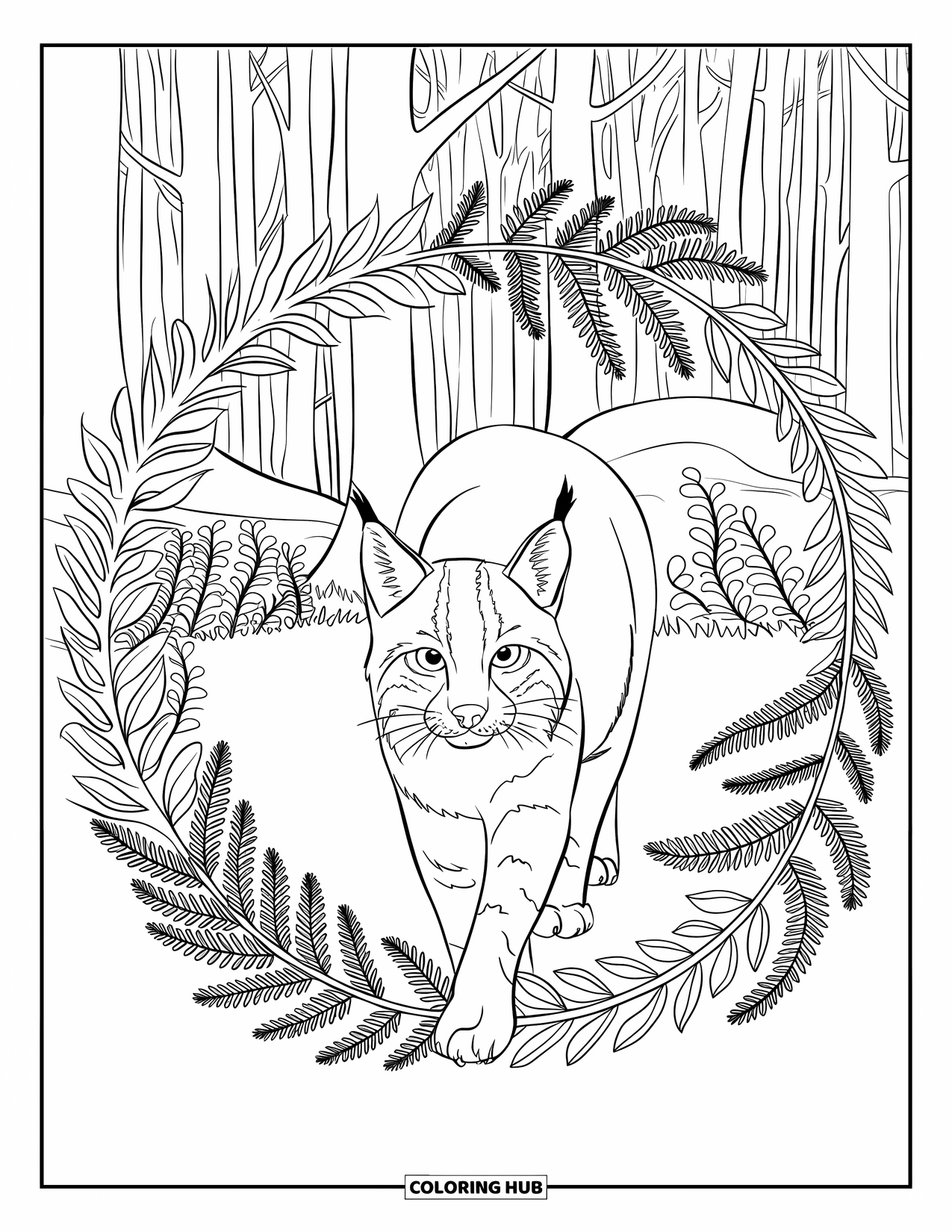 Bobcat Coloring Page for Adults: A bobcat walks forward, surrounded by swirling forest plants and ferns