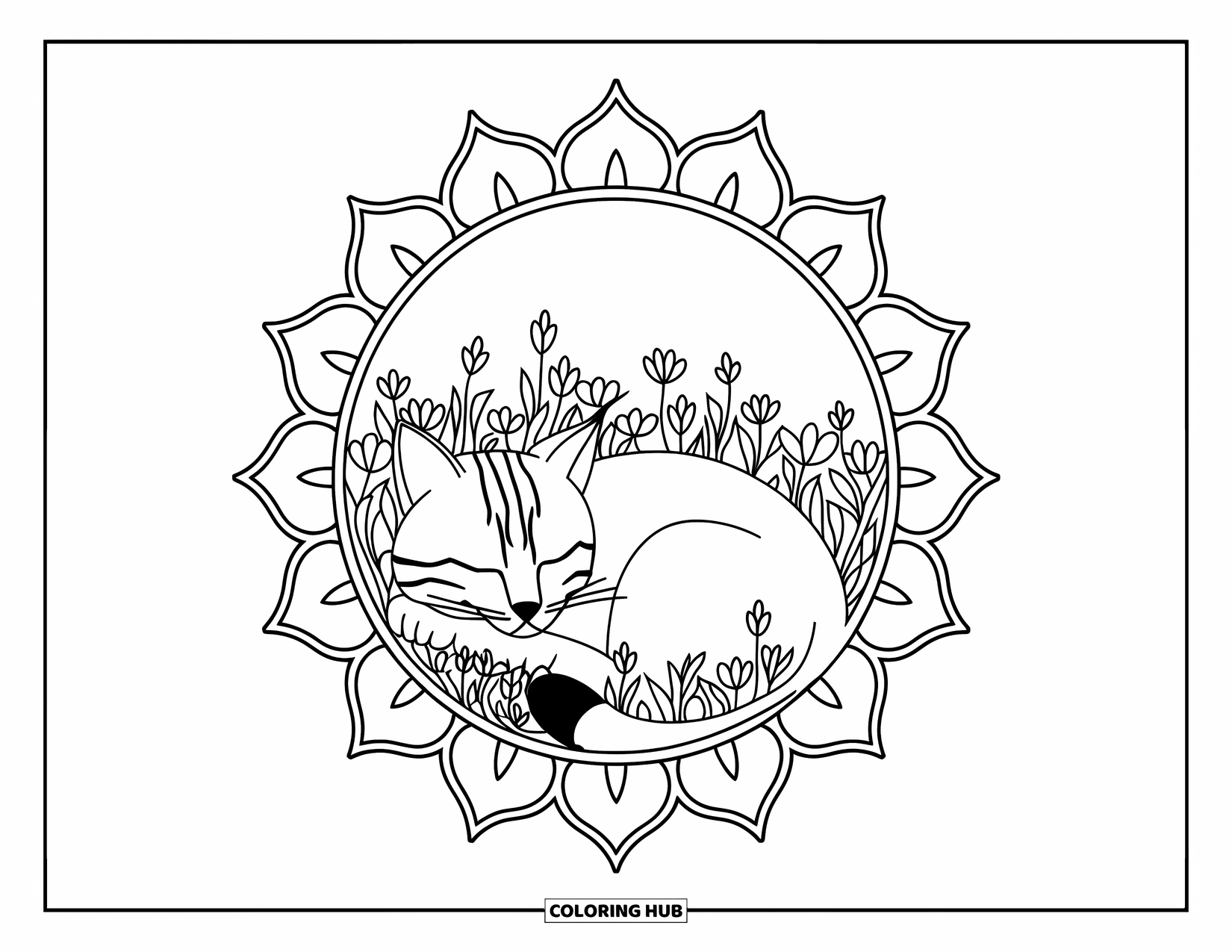 Bobcat Coloring Page for Adults: A sleeping bobcat is nestled in wildflowers within a petal mandala