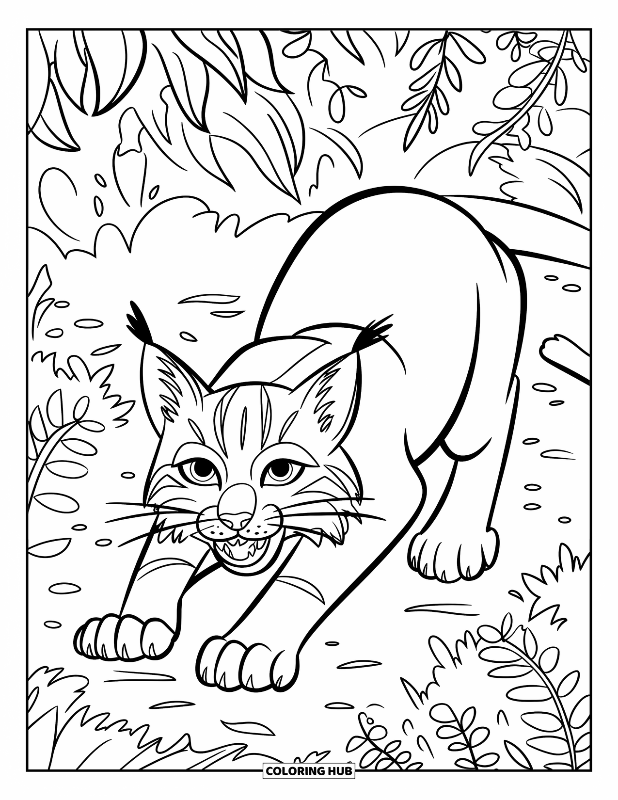 Bobcat Coloring Page for Kids: A bobcat crouches in the center of ferns and dense bushes