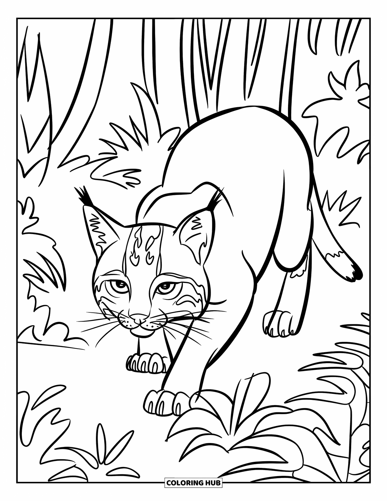 Bobcat Coloring Page for Kids: A bobcat crouches with perked ears among bold forest plants