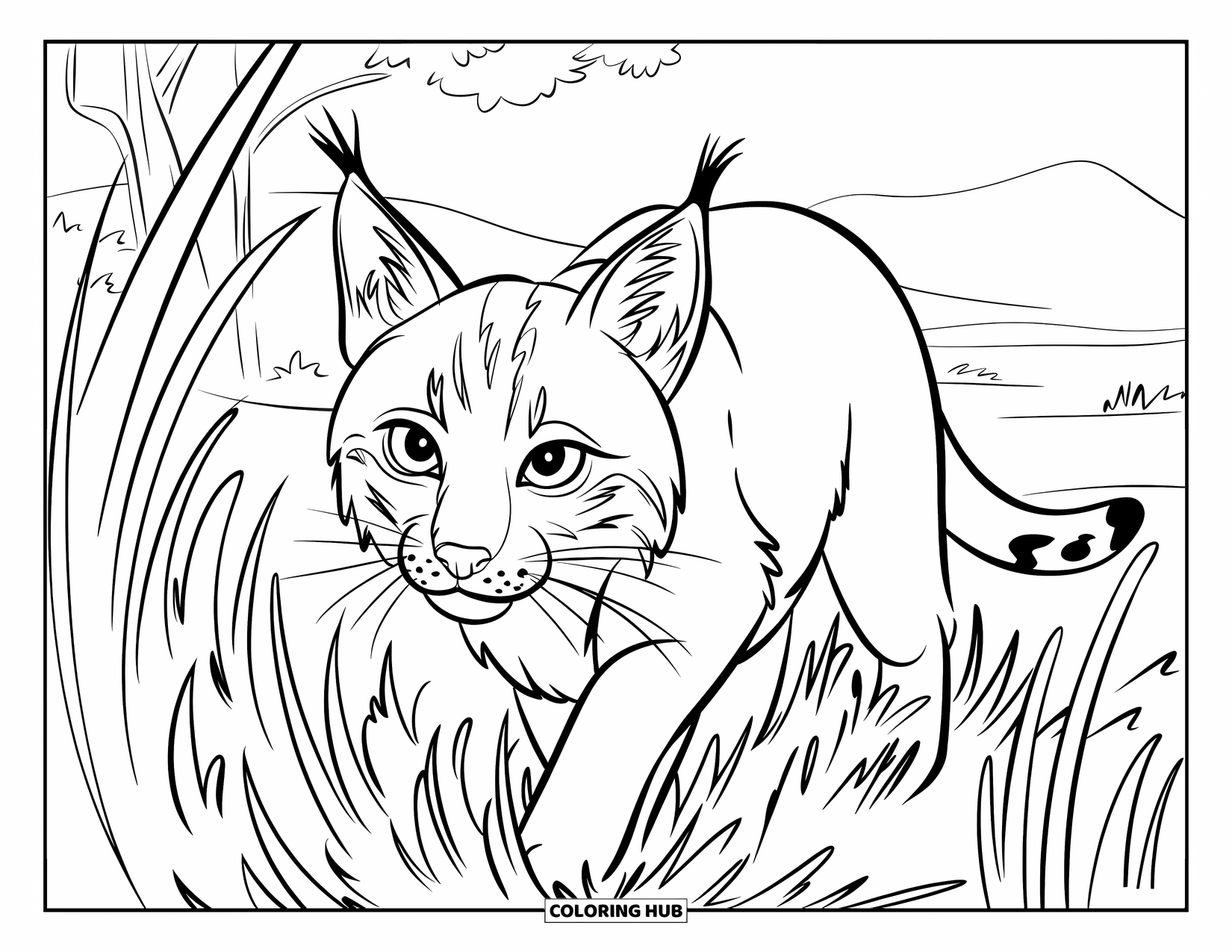 Bobcat Coloring Page for Kids: A bobcat prowls quietly through tall grass at twilight