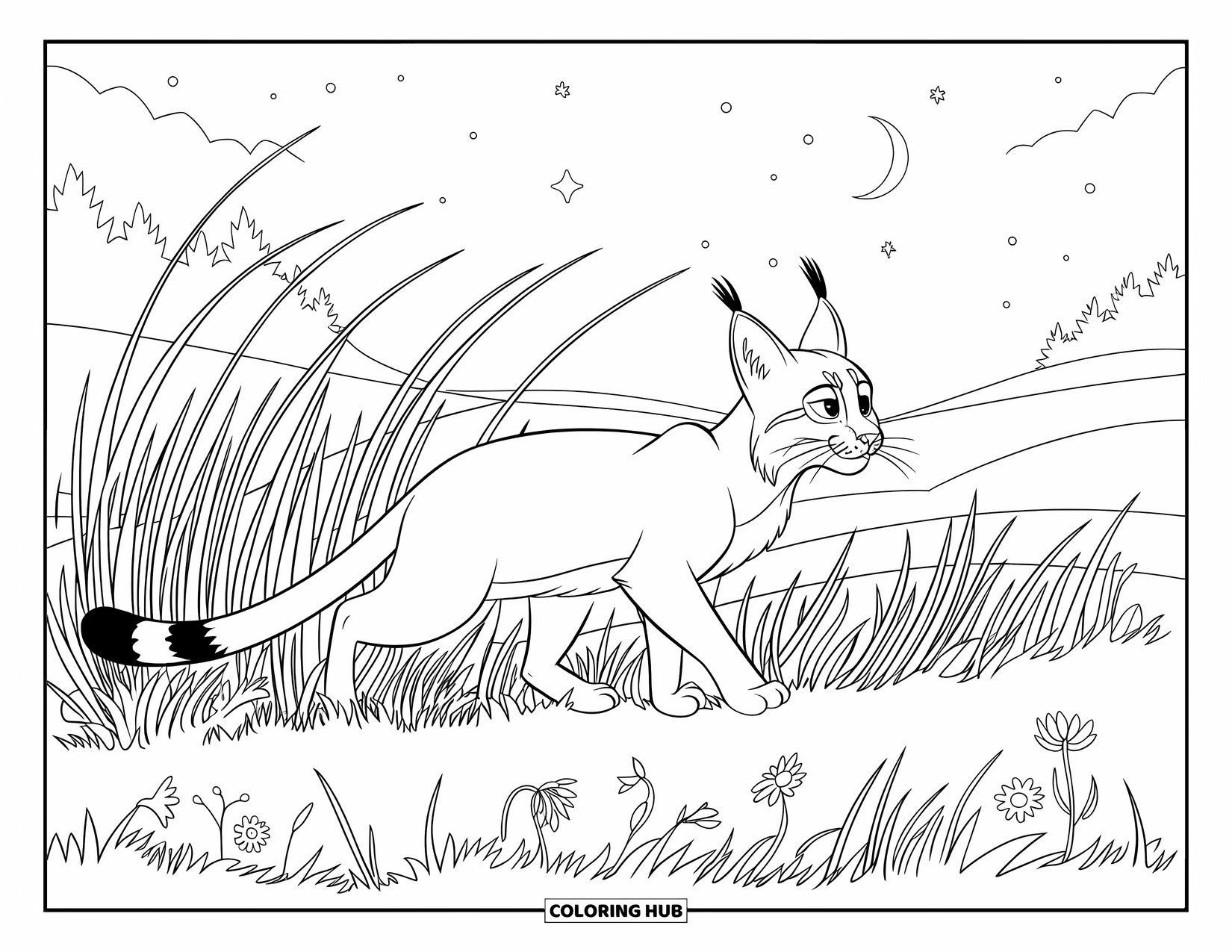 Bobcat Coloring Page for Kids: A bobcat prowls through wildflowers beneath a starry twilight sky
