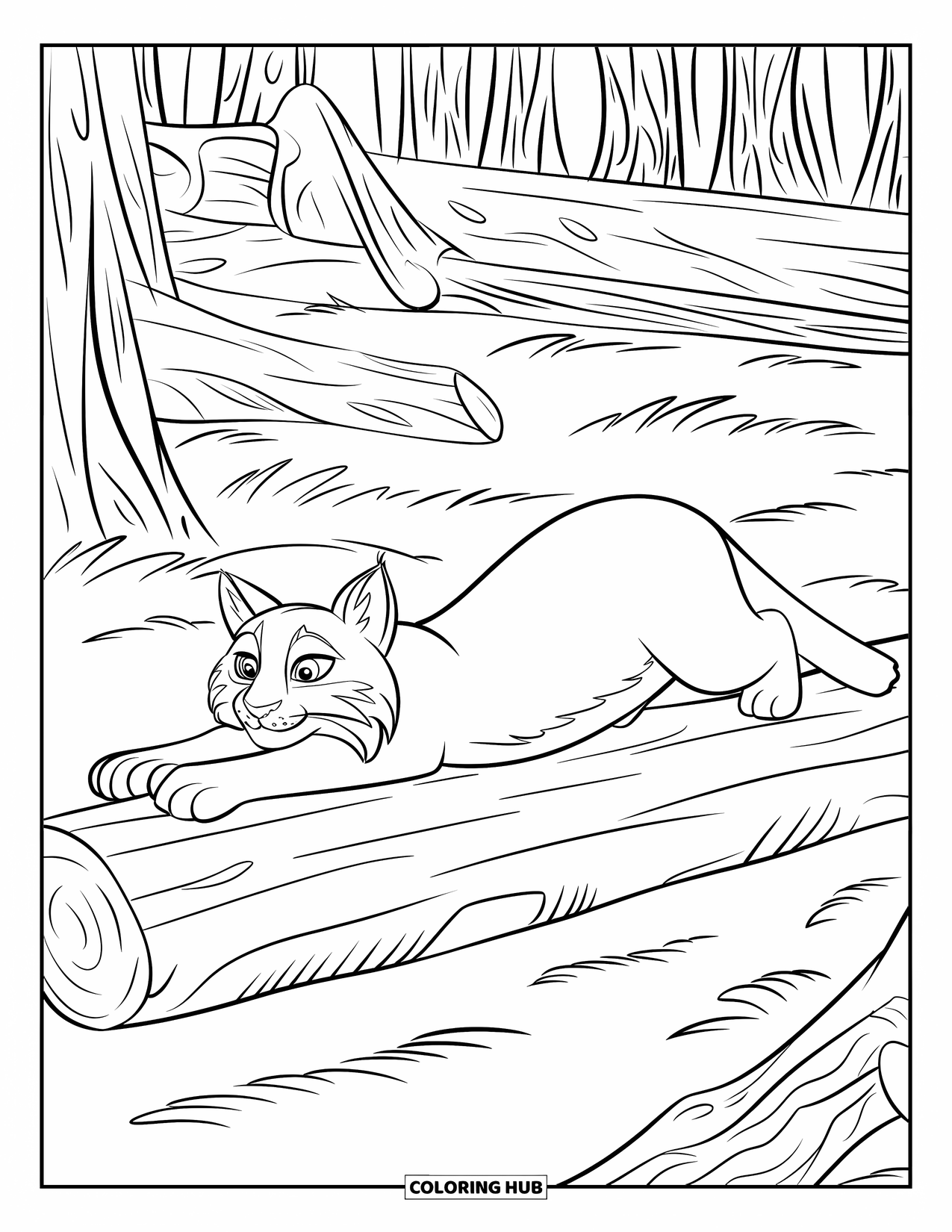 Bobcat Coloring Page for Kids: A bobcat stretches beside trees and cracked fallen logs in the woods