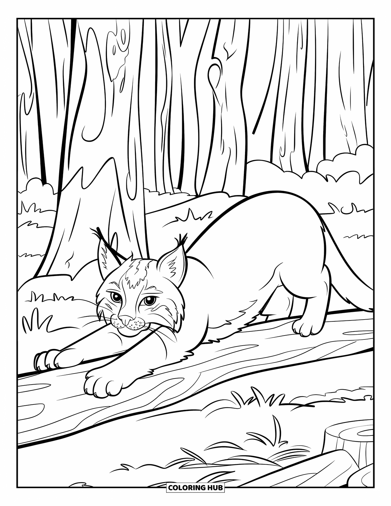 Bobcat Coloring Page for Kids: A bobcat stretches near a log with bold forest outlines