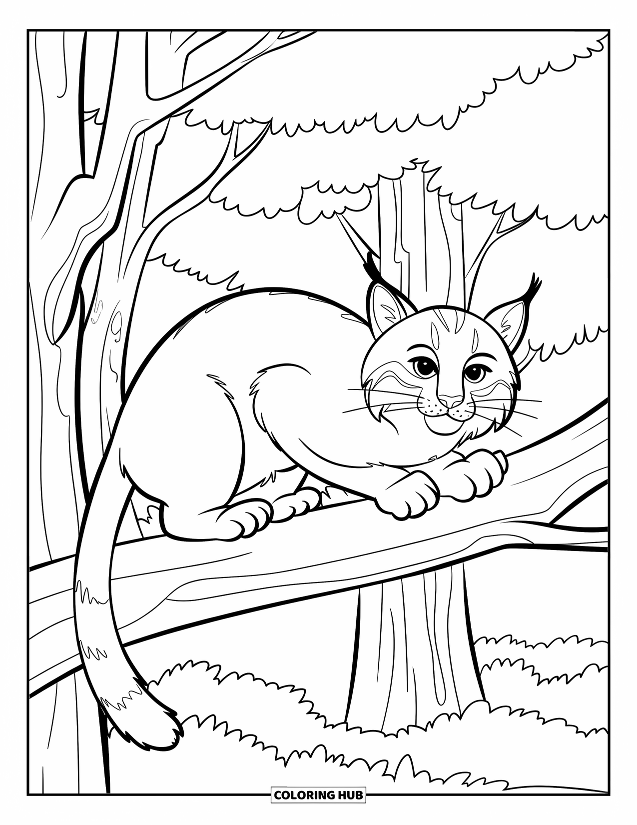 Bobcat Coloring Page for Kids: A bobcat with a bushy tail crouches on a branch under a dense canopy