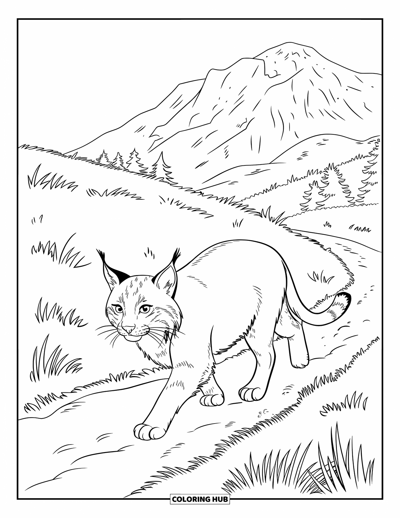 Bobcat Coloring Page for Kids: A bobcat with a bushy tail walks across a green field near trees