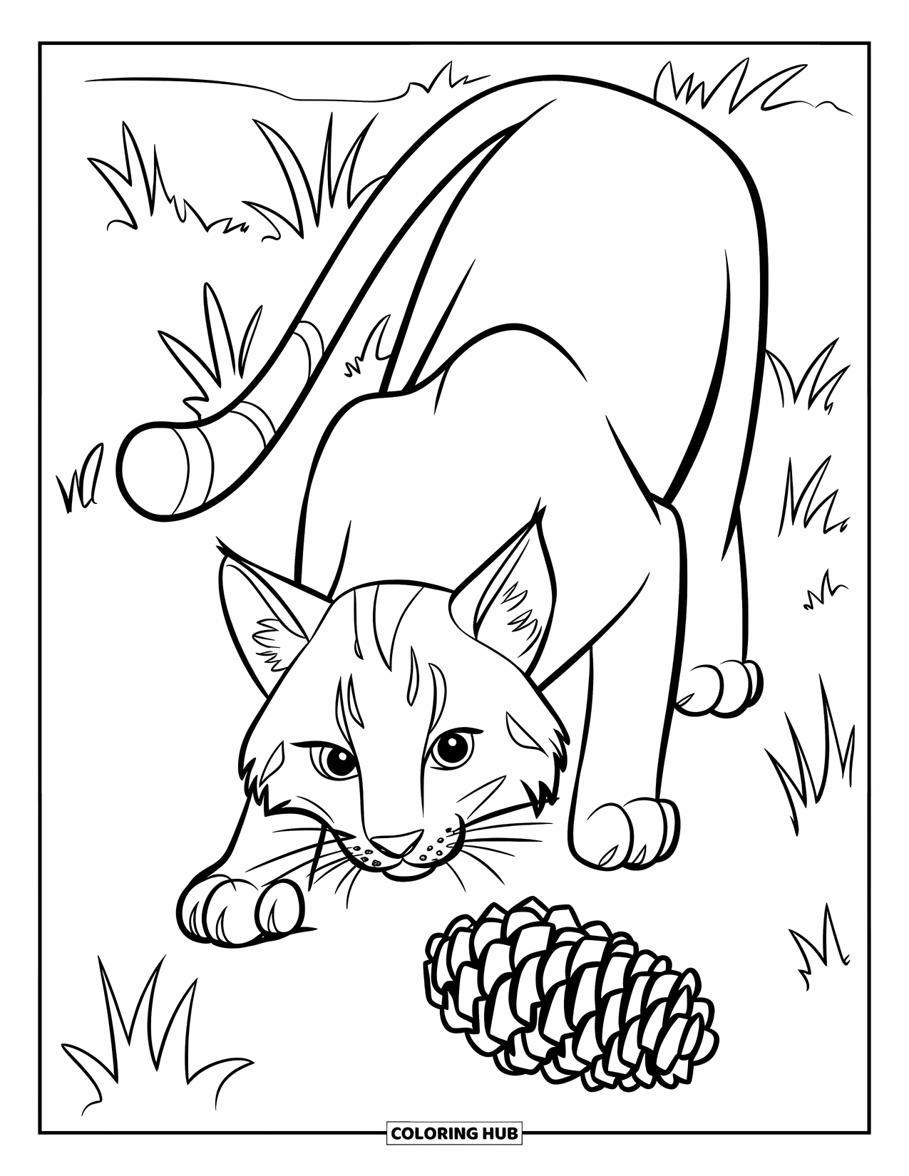 Bobcat Coloring Page for Kids: A playful bobcat stands upright while playing with a pinecone
